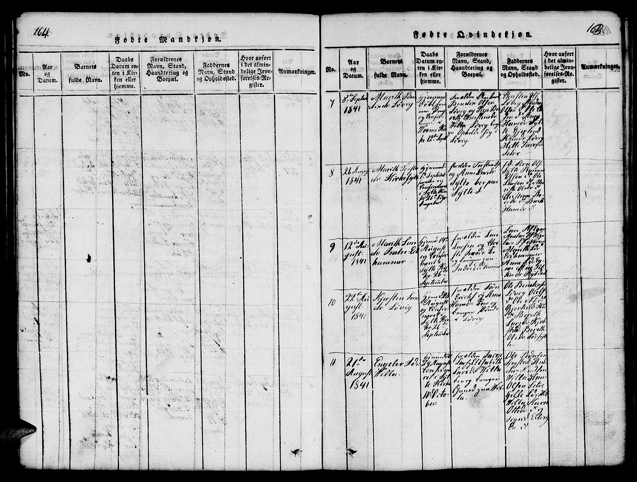 Ministerialprotokoller, klokkerbøker og fødselsregistre - Møre og Romsdal, AV/SAT-A-1454/541/L0546: Klokkerbok nr. 541C01, 1818-1856, s. 164-165