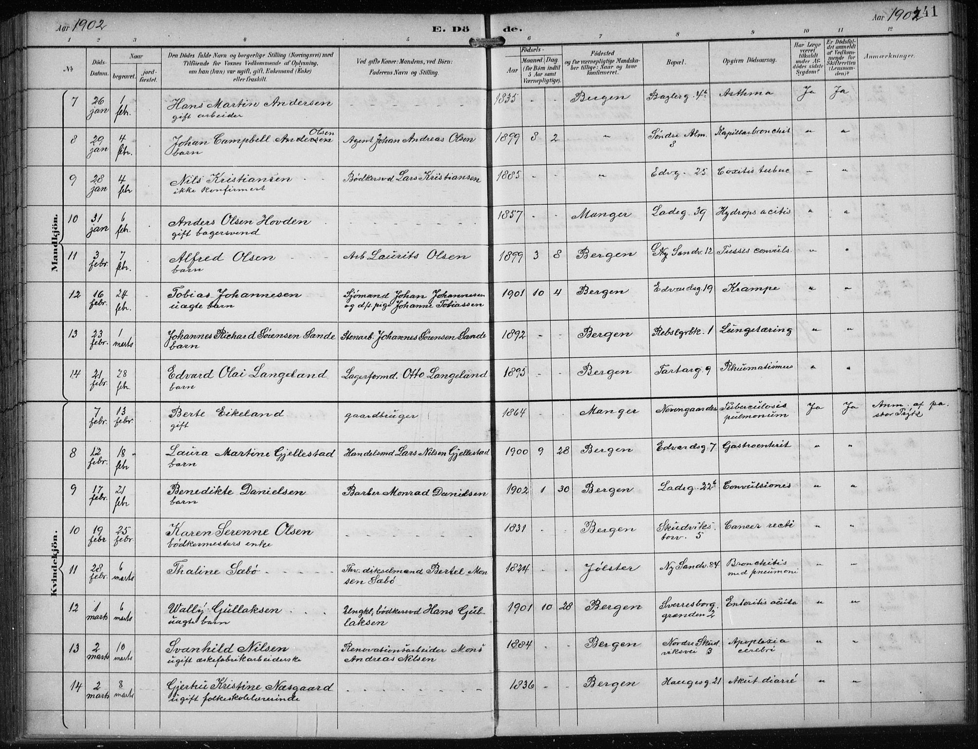 Sandviken Sokneprestembete, SAB/A-77601/H/Ha/L0018: Ministerialbok nr. E 1, 1893-1905, s. 141