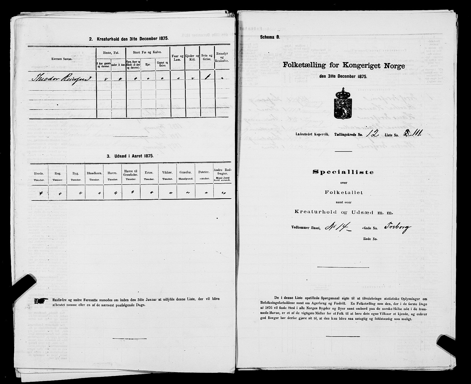 SAST, Folketelling 1875 for 1105B Avaldsnes prestegjeld, Kopervik ladested, 1875, s. 221