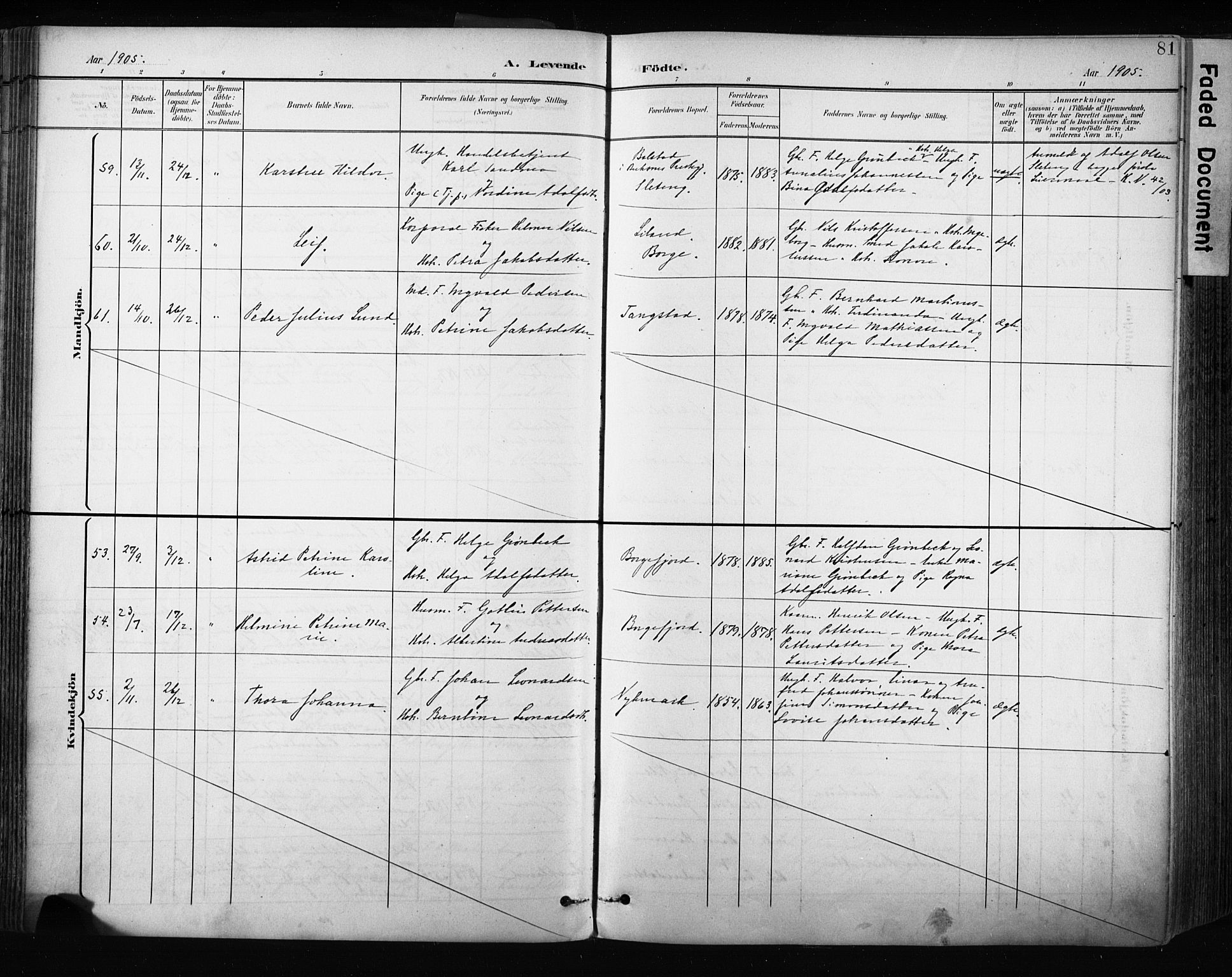 Ministerialprotokoller, klokkerbøker og fødselsregistre - Nordland, AV/SAT-A-1459/880/L1134: Ministerialbok nr. 880A08, 1899-1908, s. 81