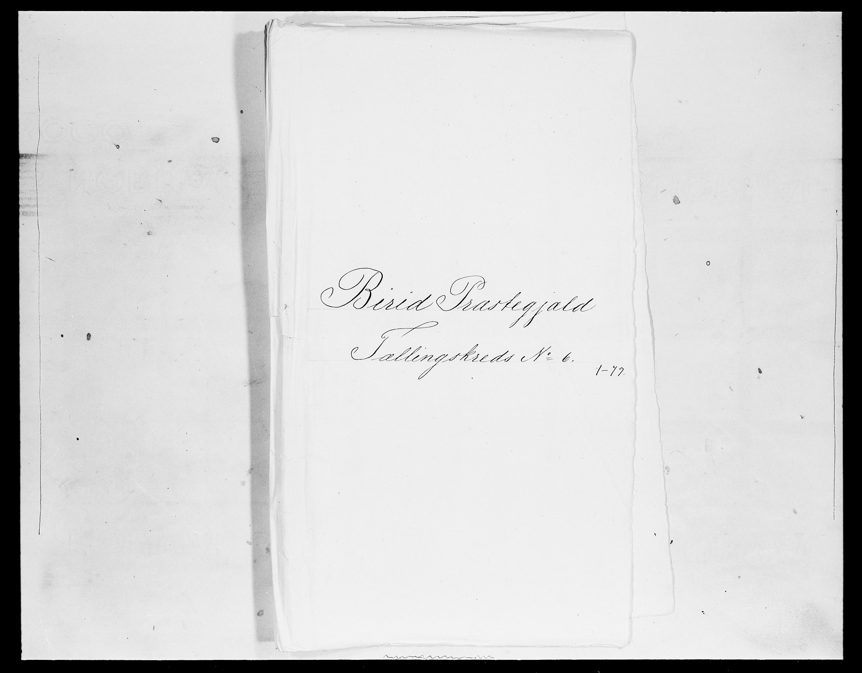 SAH, Folketelling 1875 for 0525P Biri prestegjeld, 1875, s. 1131