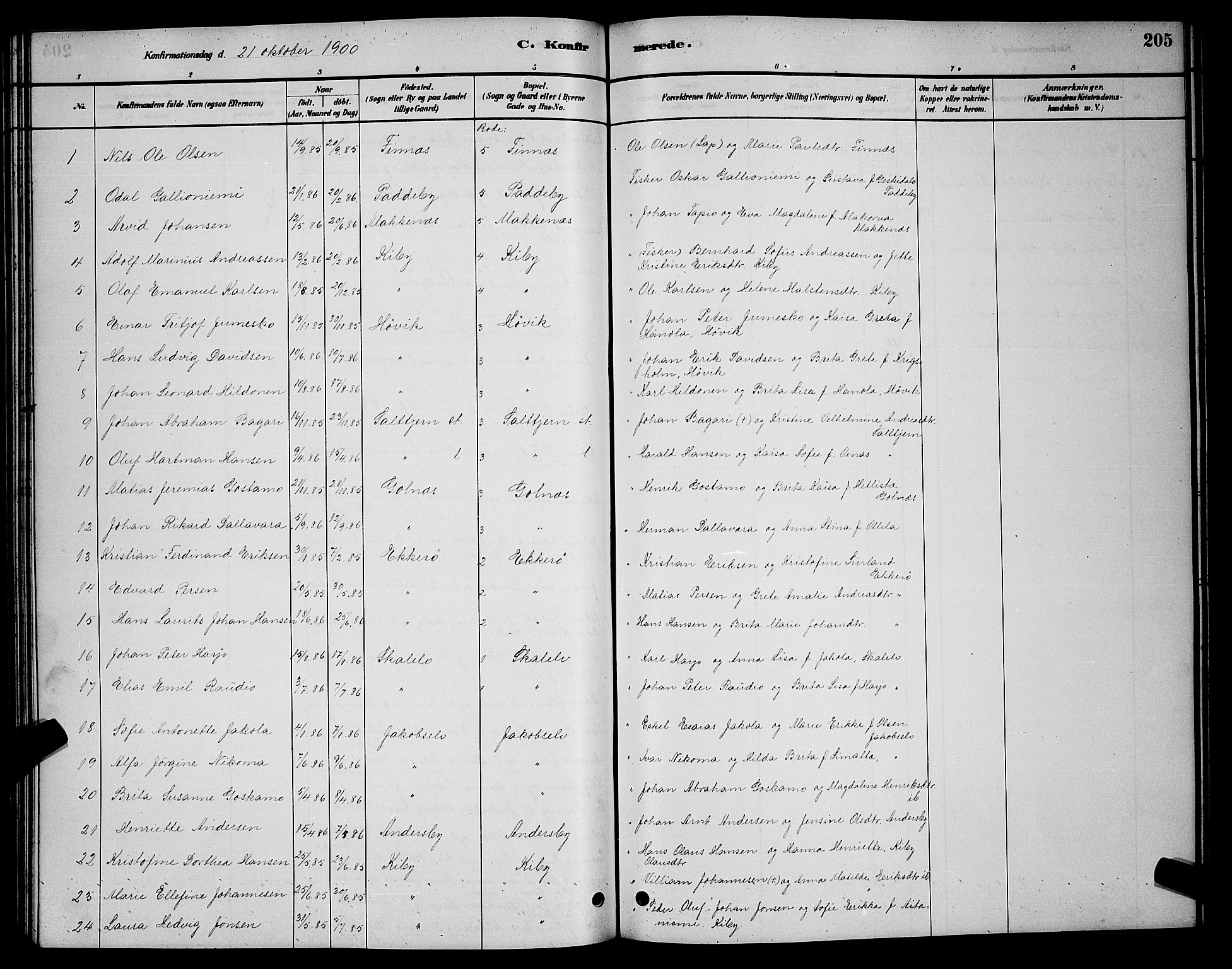 Vadsø sokneprestkontor, AV/SATØ-S-1325/H/Hb/L0003klokker: Klokkerbok nr. 3, 1881-1901, s. 205