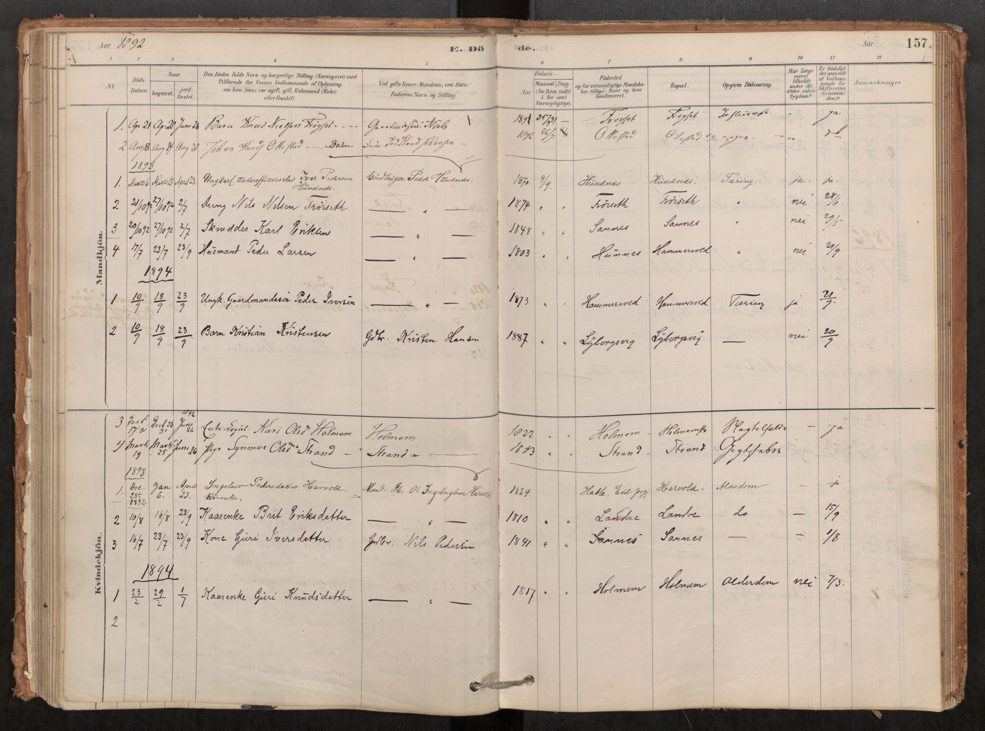 Ministerialprotokoller, klokkerbøker og fødselsregistre - Møre og Romsdal, AV/SAT-A-1454/548/L0615: Ministerialbok nr. 548A02, 1878-1906, s. 157