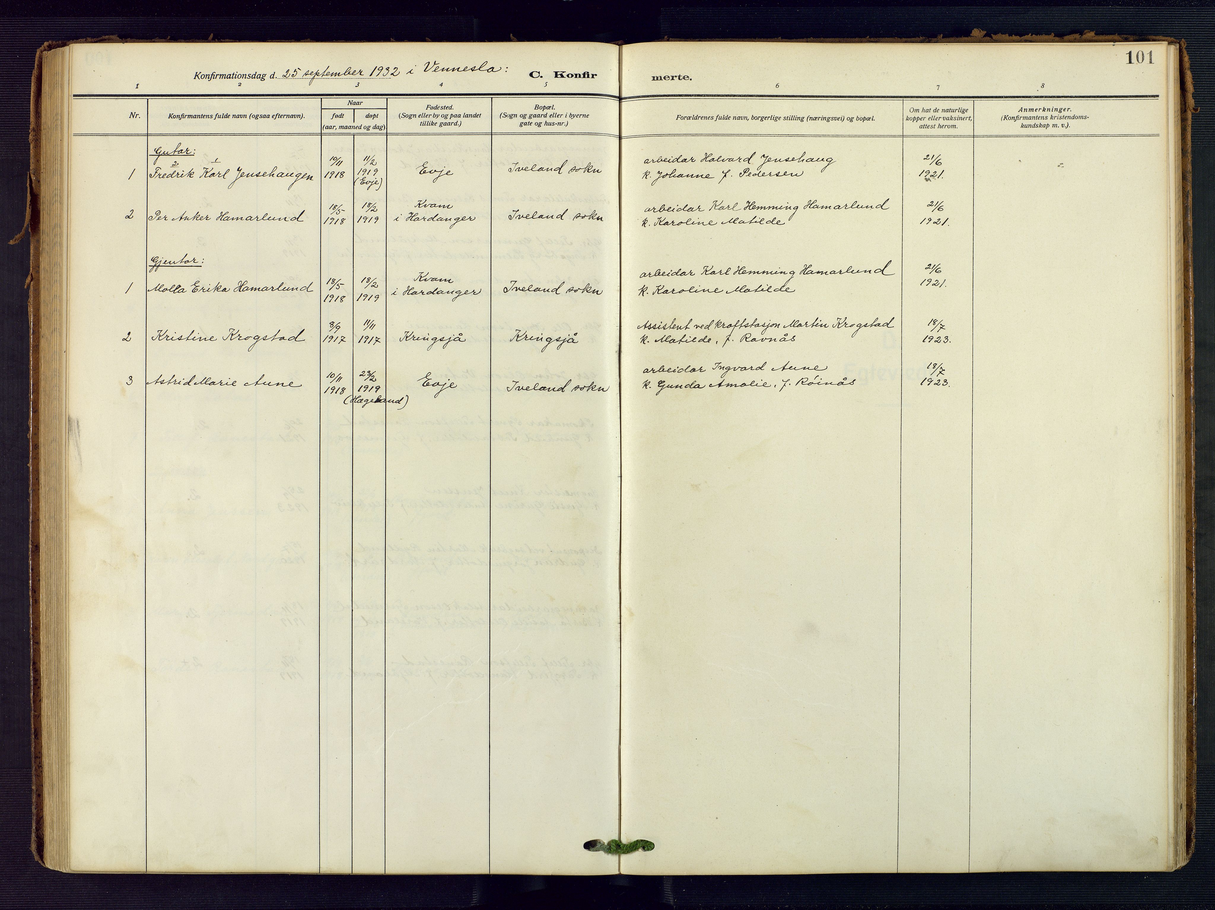 Evje sokneprestkontor, AV/SAK-1111-0008/F/Fa/Fac/L0004: Ministerialbok nr. A 4, 1910-1932, s. 101