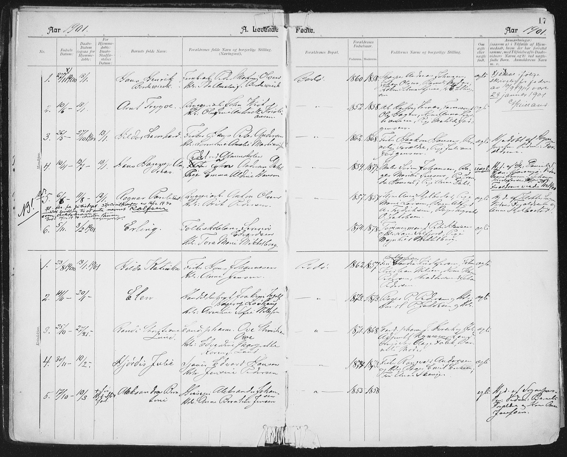 Ministerialprotokoller, klokkerbøker og fødselsregistre - Nordland, AV/SAT-A-1459/801/L0011: Ministerialbok nr. 801A11, 1900-1916, s. 17