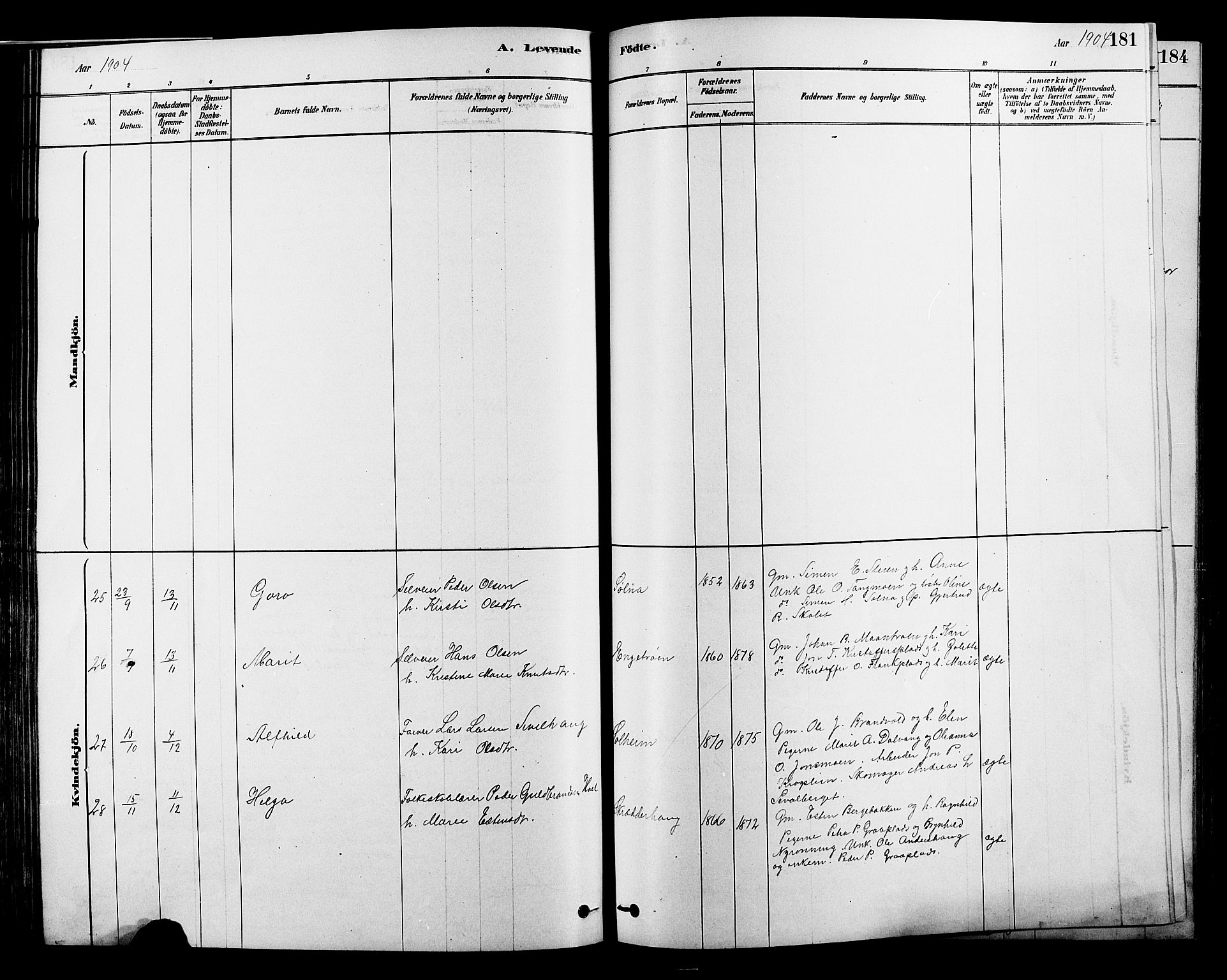 Alvdal prestekontor, AV/SAH-PREST-060/H/Ha/Hab/L0003: Klokkerbok nr. 3, 1878-1907, s. 181