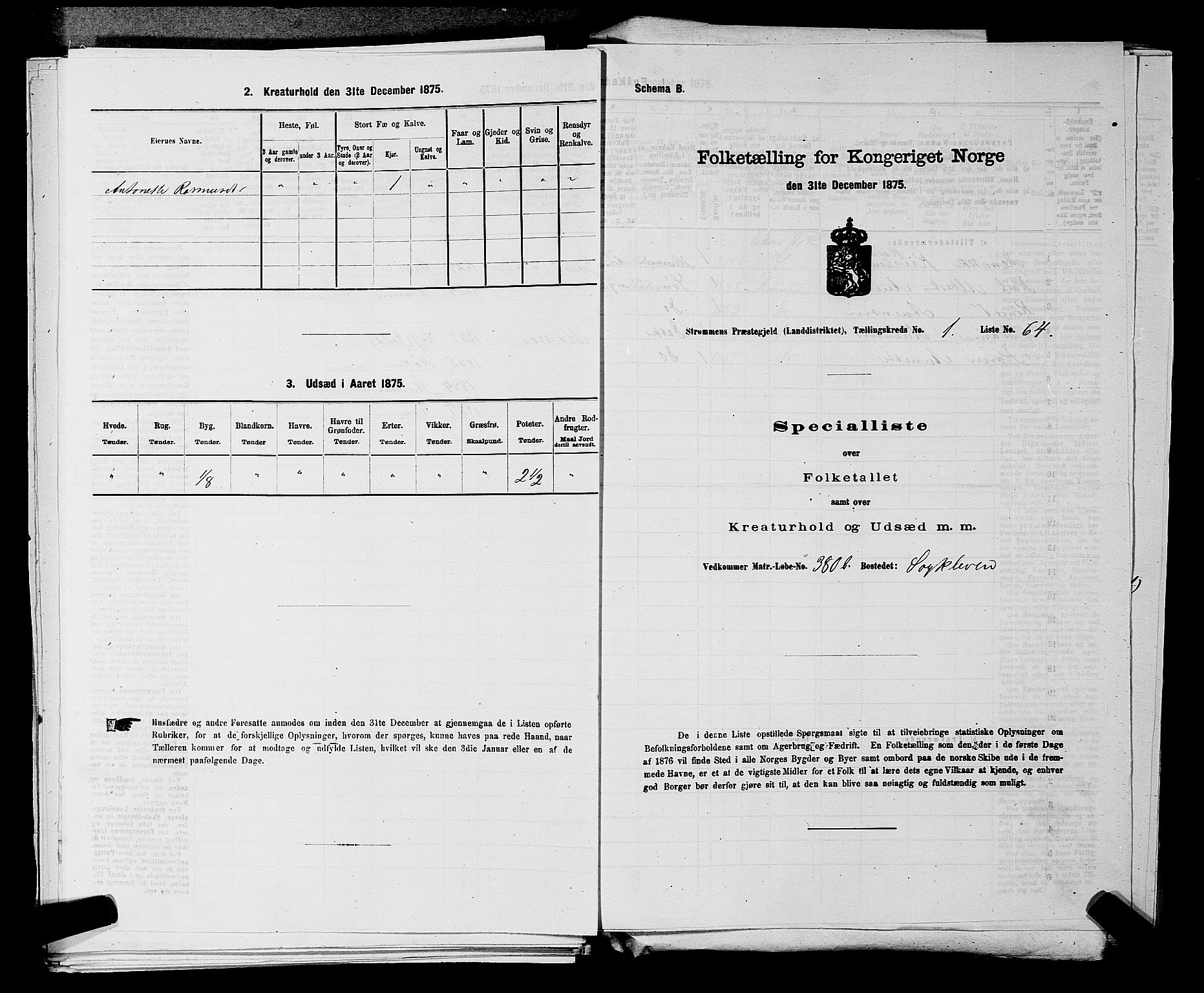 SAKO, Folketelling 1875 for 0711L Strømm prestegjeld, Strømm sokn, 1875, s. 164