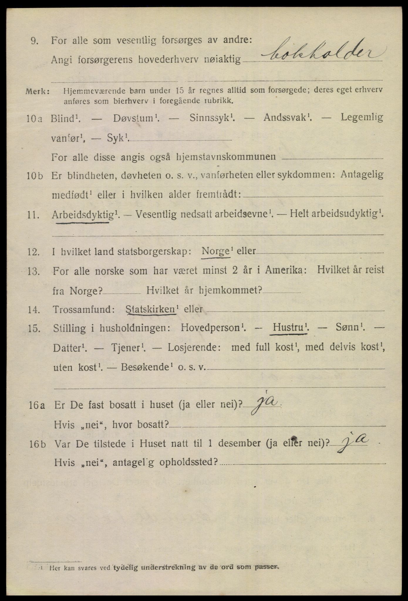 SAKO, Folketelling 1920 for 0804 Brevik kjøpstad, 1920, s. 6229