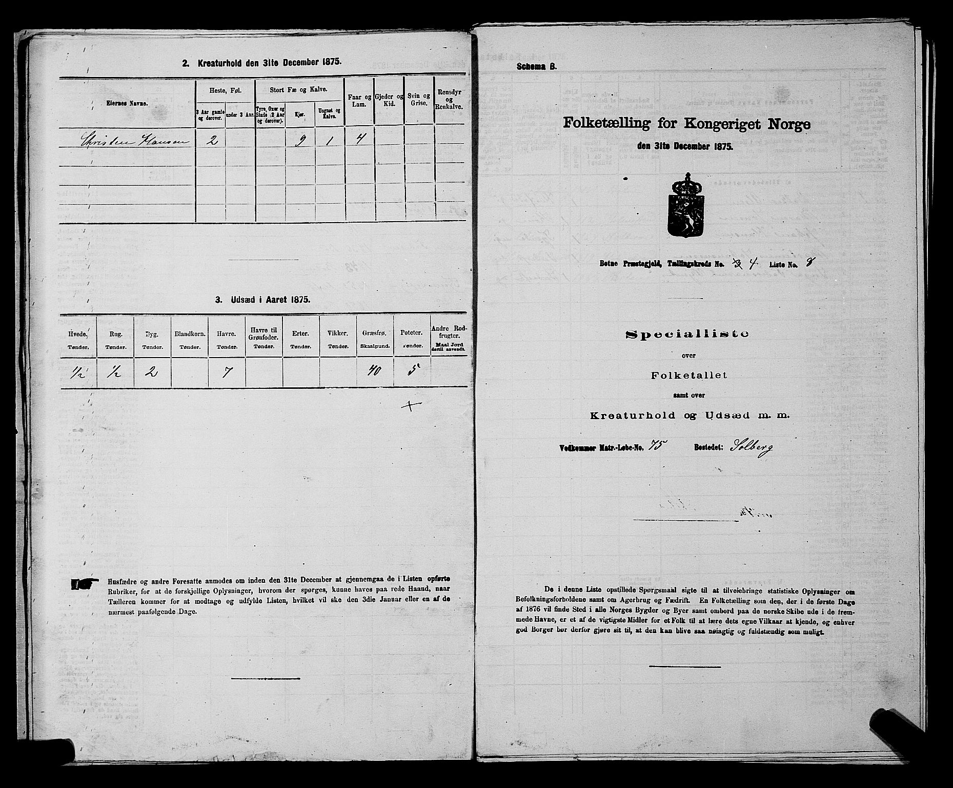 SAKO, Folketelling 1875 for 0715P Botne prestegjeld, 1875, s. 333