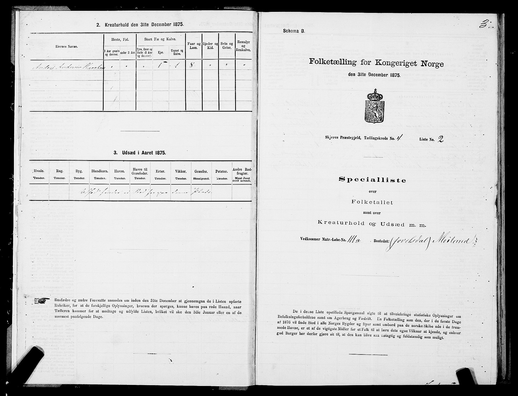 SATØ, Folketelling 1875 for 1941P Skjervøy prestegjeld, 1875, s. 3003