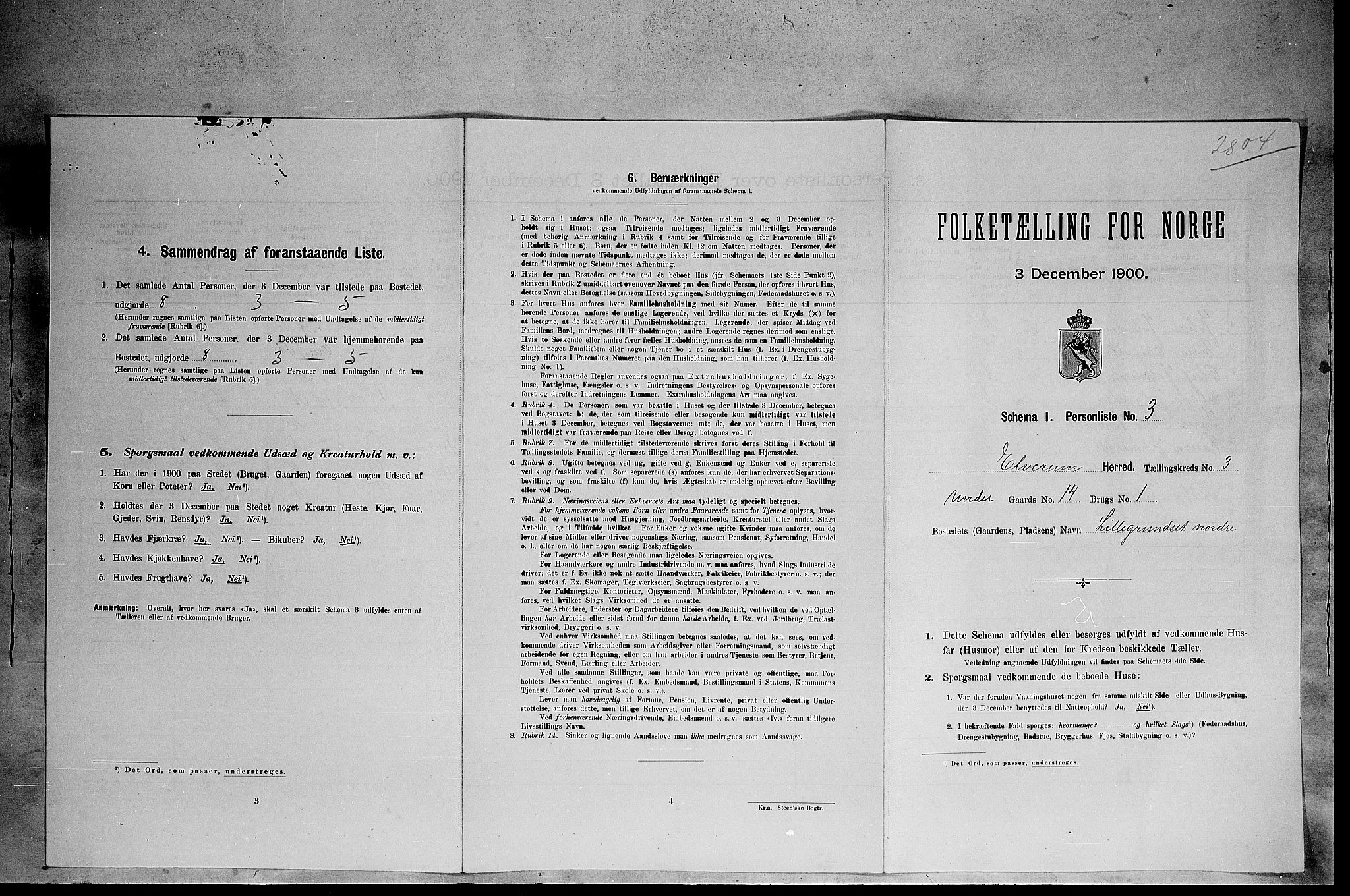 SAH, Folketelling 1900 for 0427 Elverum herred, 1900, s. 429