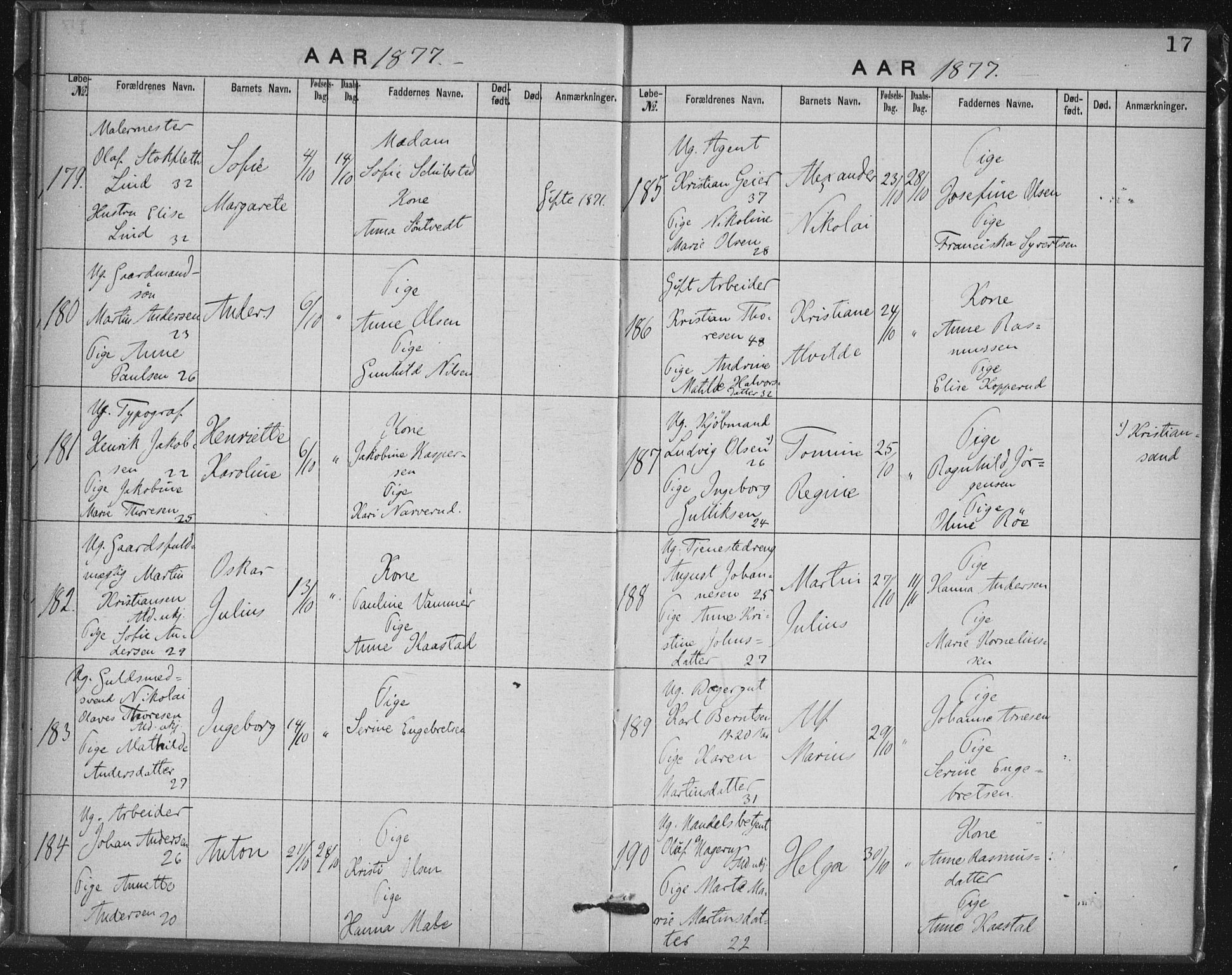 Rikshospitalet prestekontor Kirkebøker, AV/SAO-A-10309b/K/L0003/0001: Dåpsbok nr. 3.1, 1877-1884, s. 17