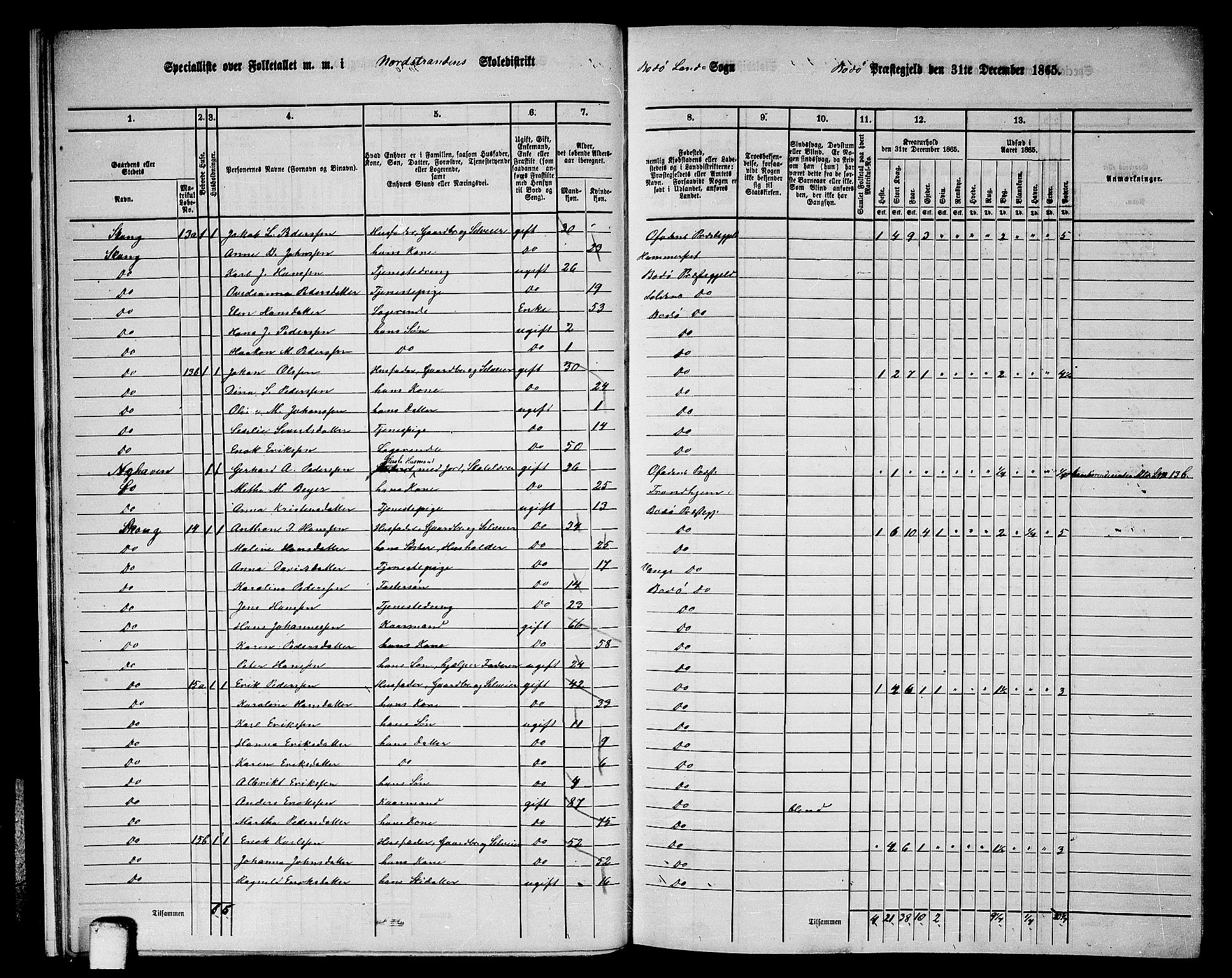 RA, Folketelling 1865 for 1843L Bodø prestegjeld, Bodø landsokn, 1865, s. 14