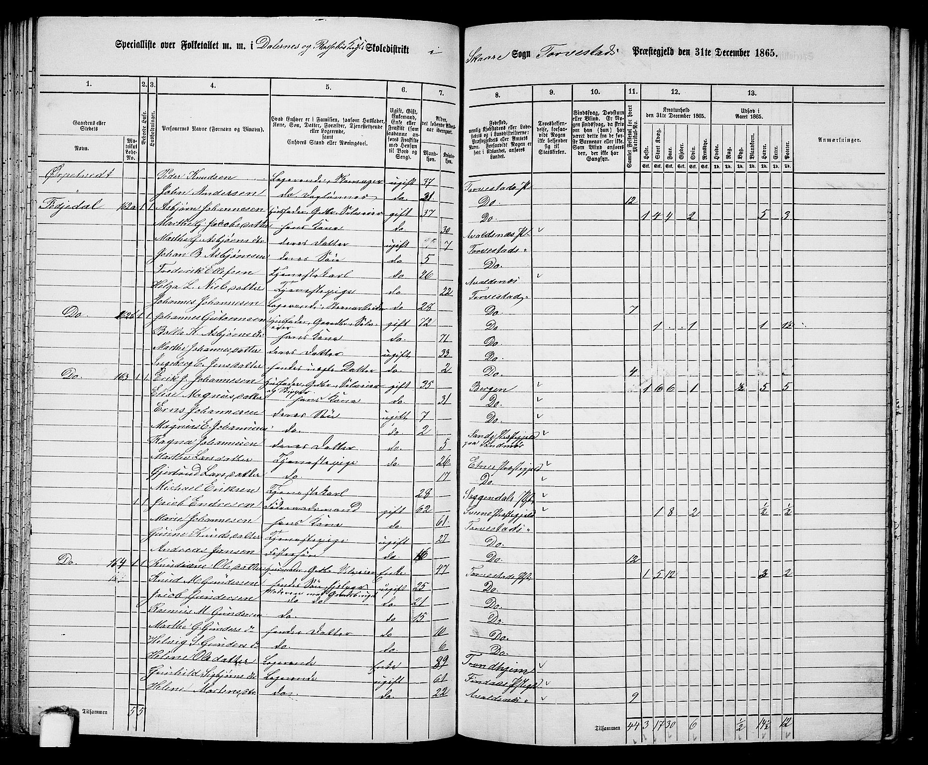 RA, Folketelling 1865 for 1152L Torvastad prestegjeld, Torvastad sokn, Skåre sokn og Utsira sokn, 1865, s. 100