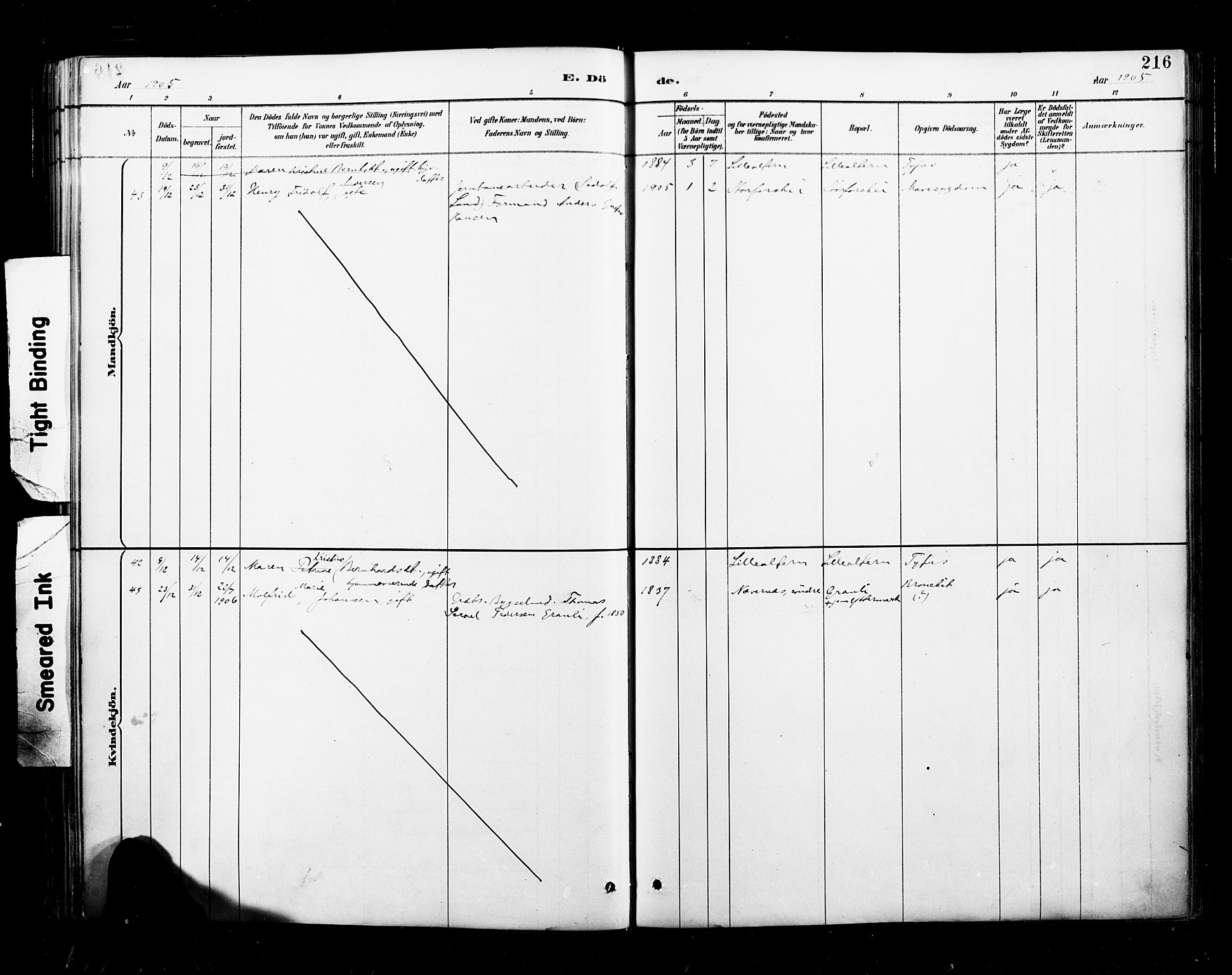 Ministerialprotokoller, klokkerbøker og fødselsregistre - Nordland, AV/SAT-A-1459/827/L0401: Ministerialbok nr. 827A13, 1887-1905, s. 216