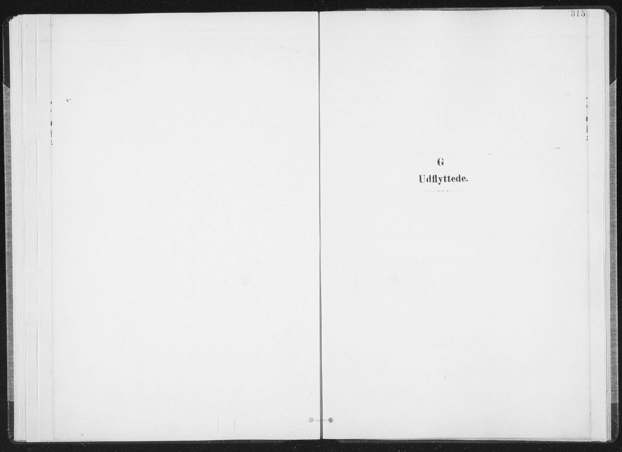 Ministerialprotokoller, klokkerbøker og fødselsregistre - Nordland, AV/SAT-A-1459/805/L0103: Ministerialbok nr. 805A08II, 1900-1909, s. 315