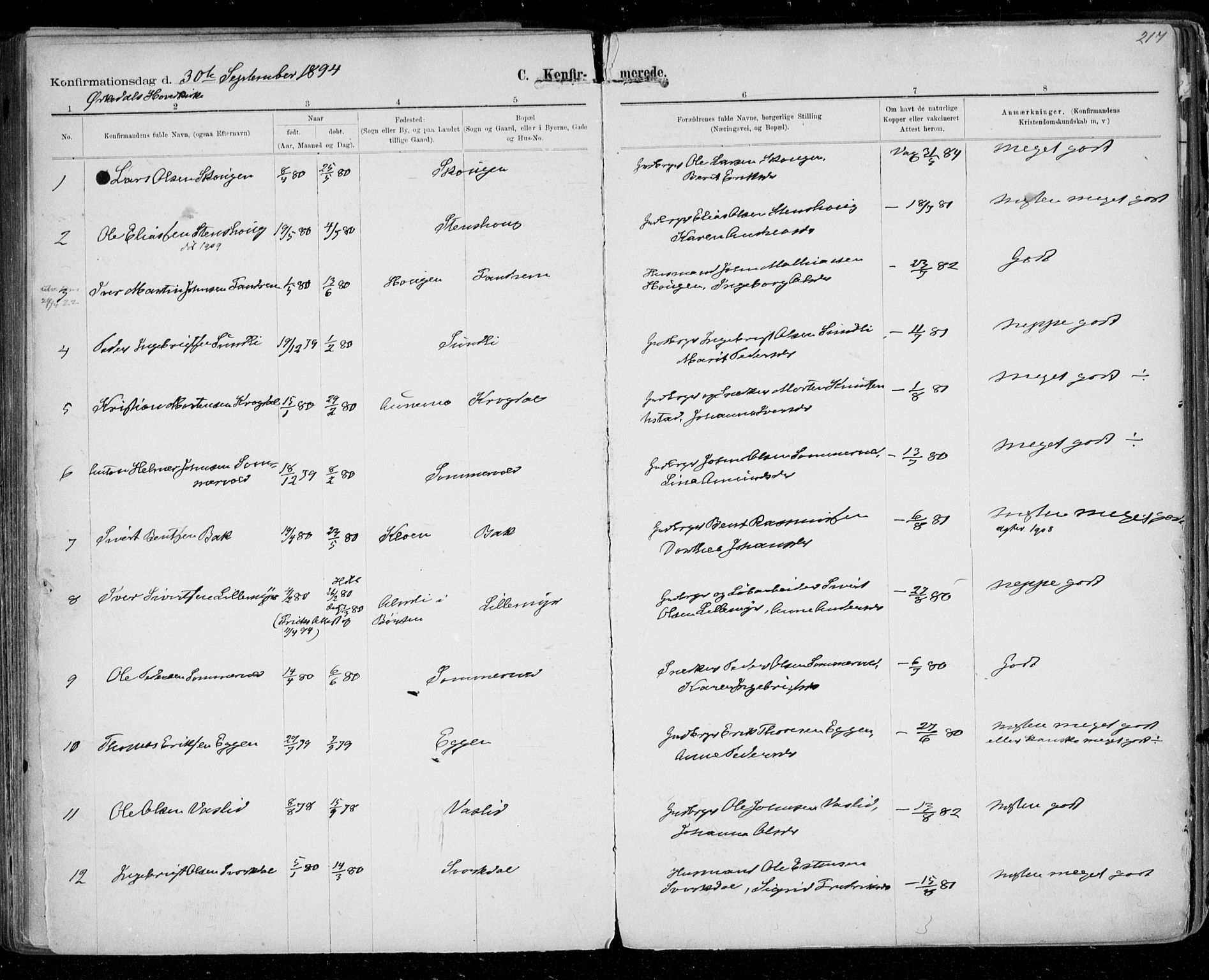 Ministerialprotokoller, klokkerbøker og fødselsregistre - Sør-Trøndelag, SAT/A-1456/668/L0811: Ministerialbok nr. 668A11, 1894-1913, s. 217