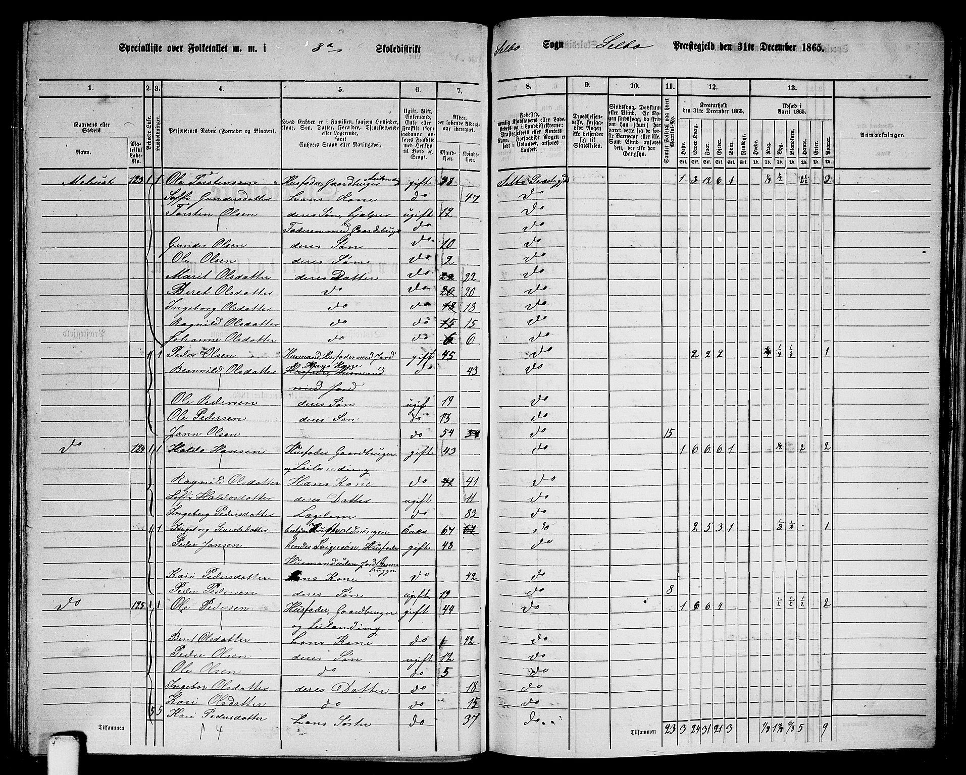 RA, Folketelling 1865 for 1664P Selbu prestegjeld, 1865, s. 134