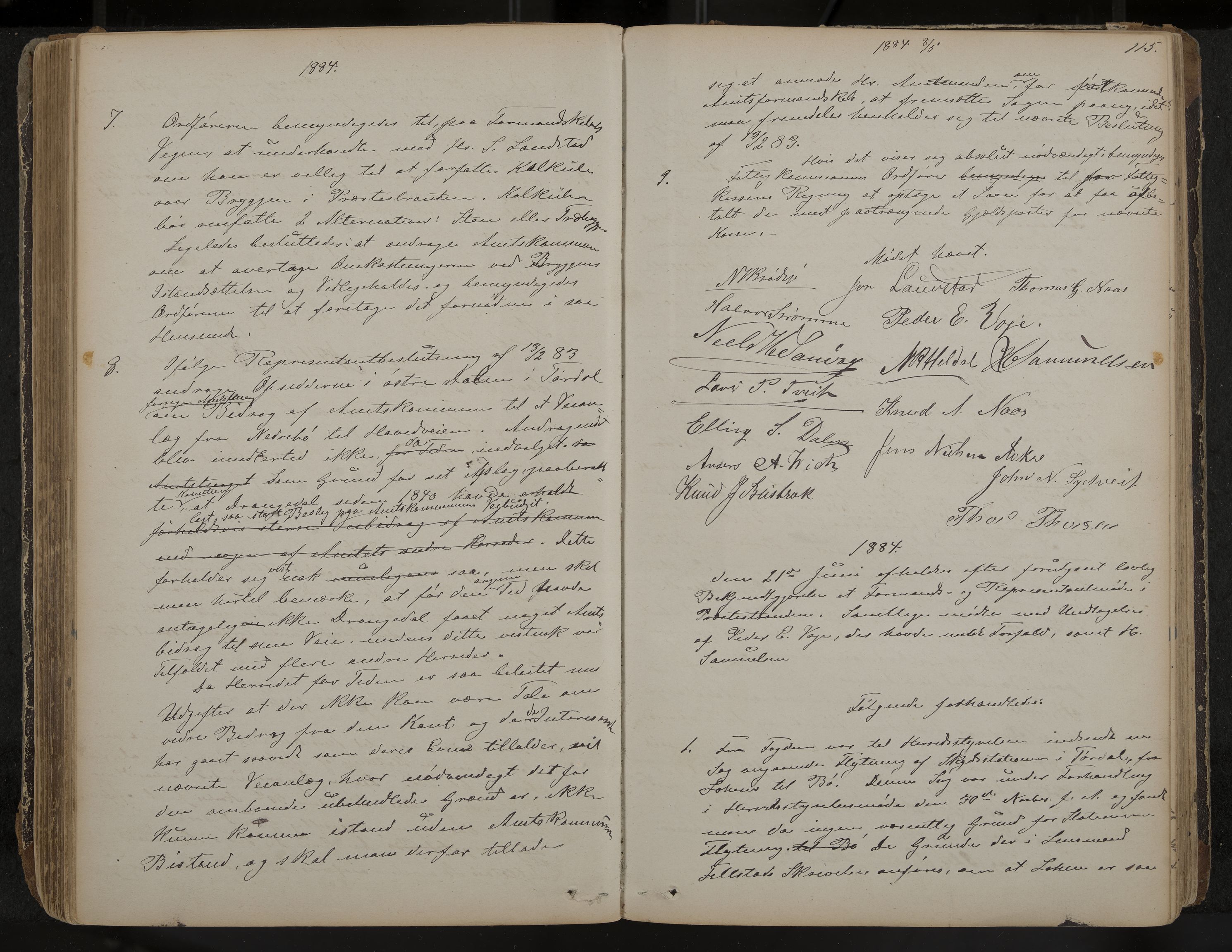 Drangedal formannskap og sentraladministrasjon, IKAK/0817021/A/L0002: Møtebok, 1870-1892, s. 115