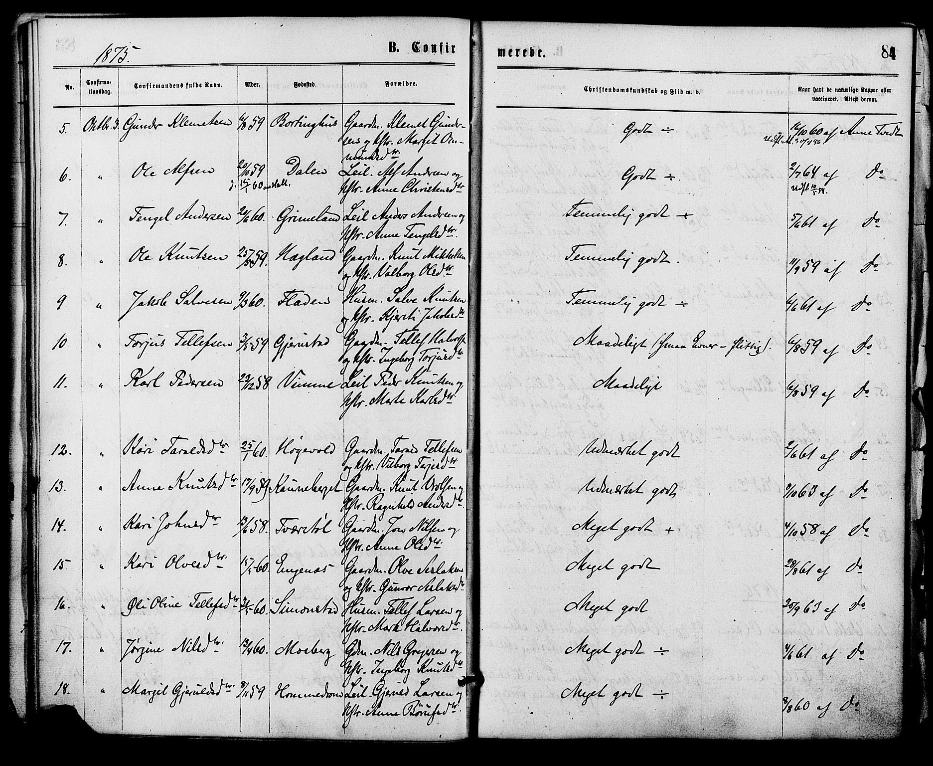 Åmli sokneprestkontor, AV/SAK-1111-0050/F/Fa/Fac/L0009: Ministerialbok nr. A 9 /1, 1869-1884, s. 84