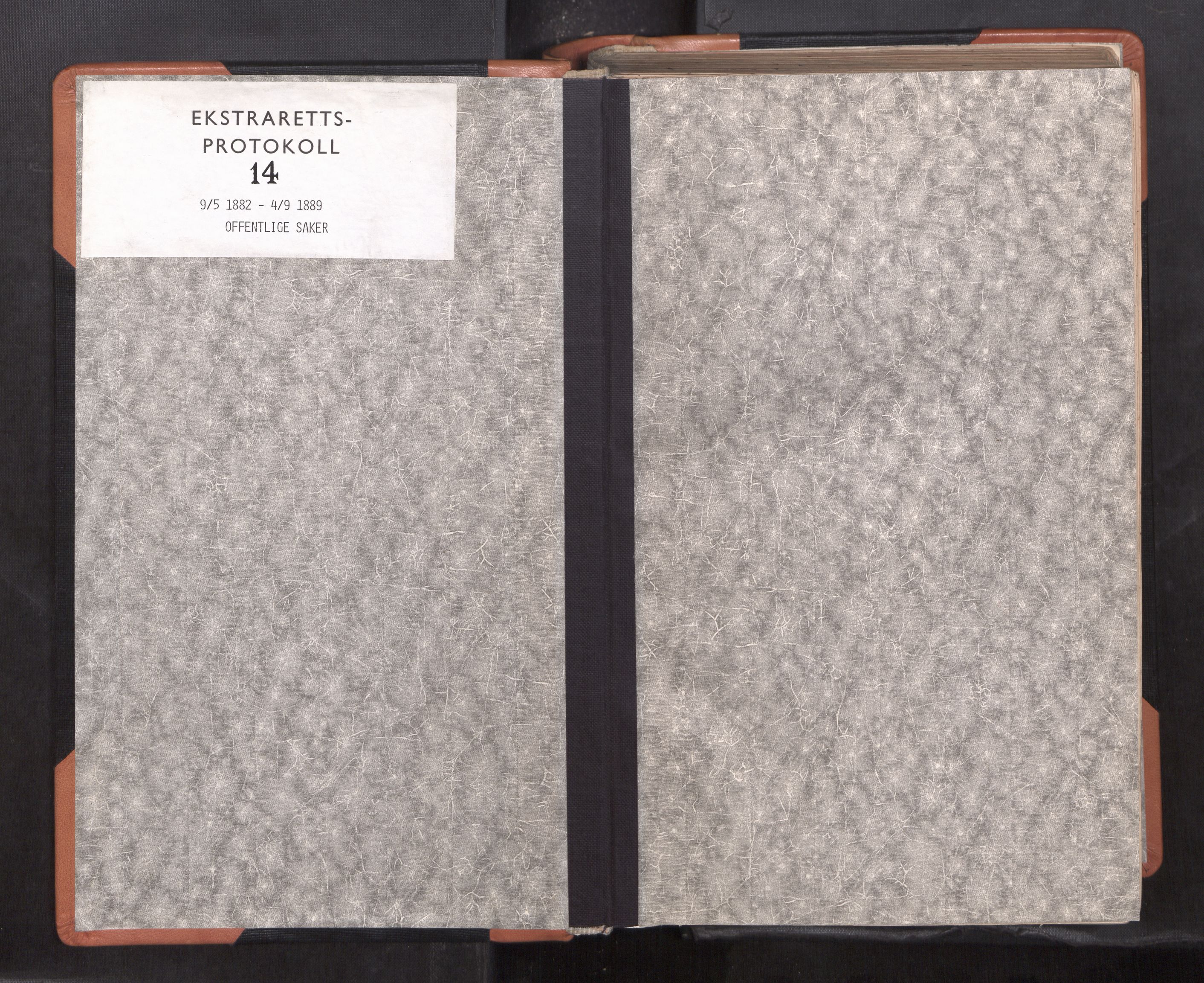 Rana sorenskriveri , SAT/A-1108/1/1/1B/L0014: Ekstrarettsprotokoll, 1882-1889