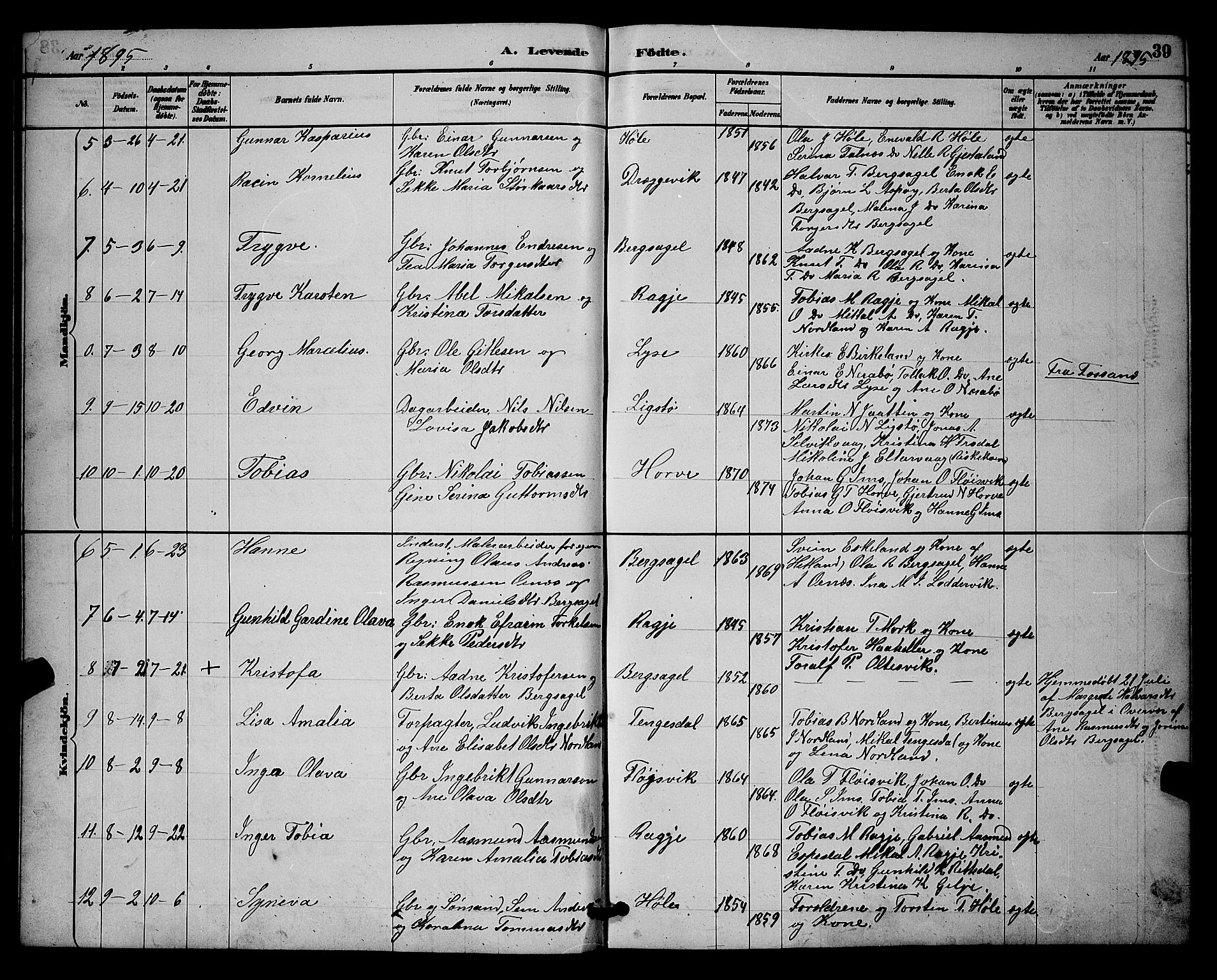 Høgsfjord sokneprestkontor, AV/SAST-A-101624/H/Ha/Hab/L0003: Klokkerbok nr. B 3, 1886-1905, s. 39