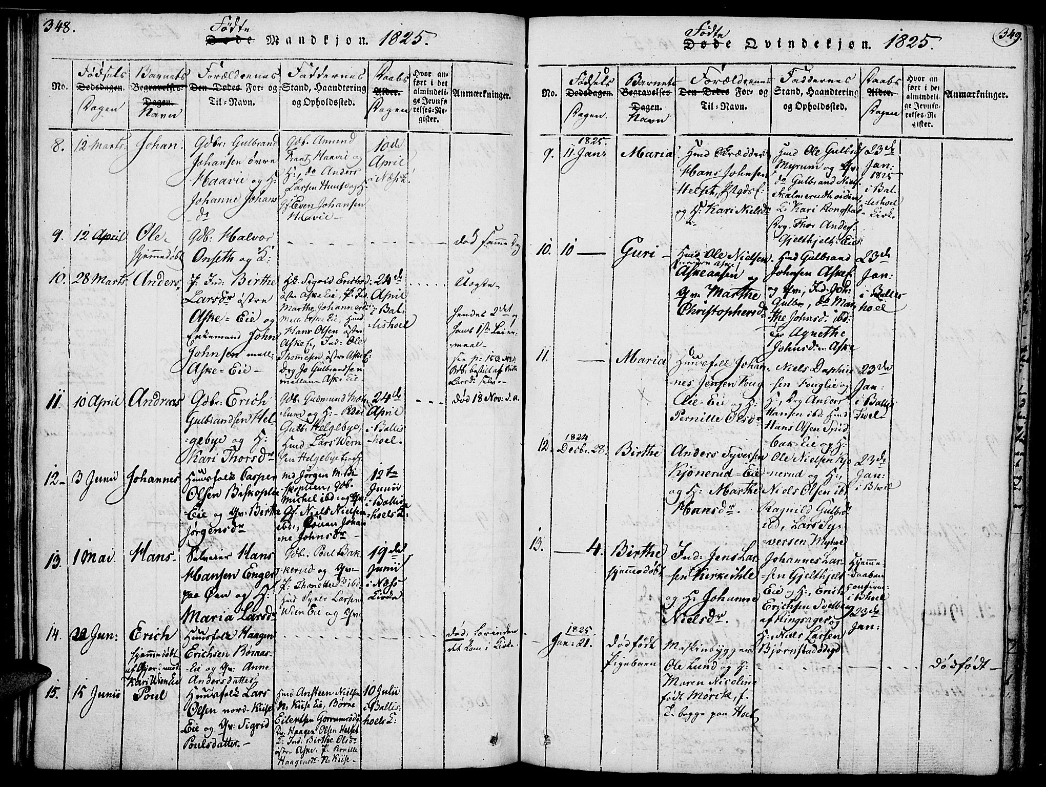 Nes prestekontor, Hedmark, AV/SAH-PREST-020/K/Ka/L0002: Ministerialbok nr. 2, 1813-1827, s. 348-349