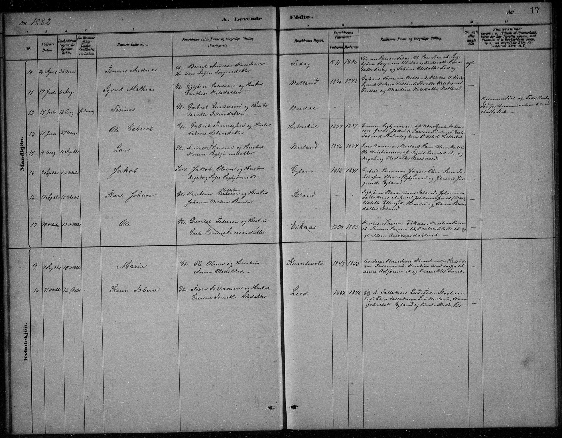 Bakke sokneprestkontor, SAK/1111-0002/F/Fb/Fbb/L0003: Klokkerbok nr. B 3, 1878-1896, s. 17