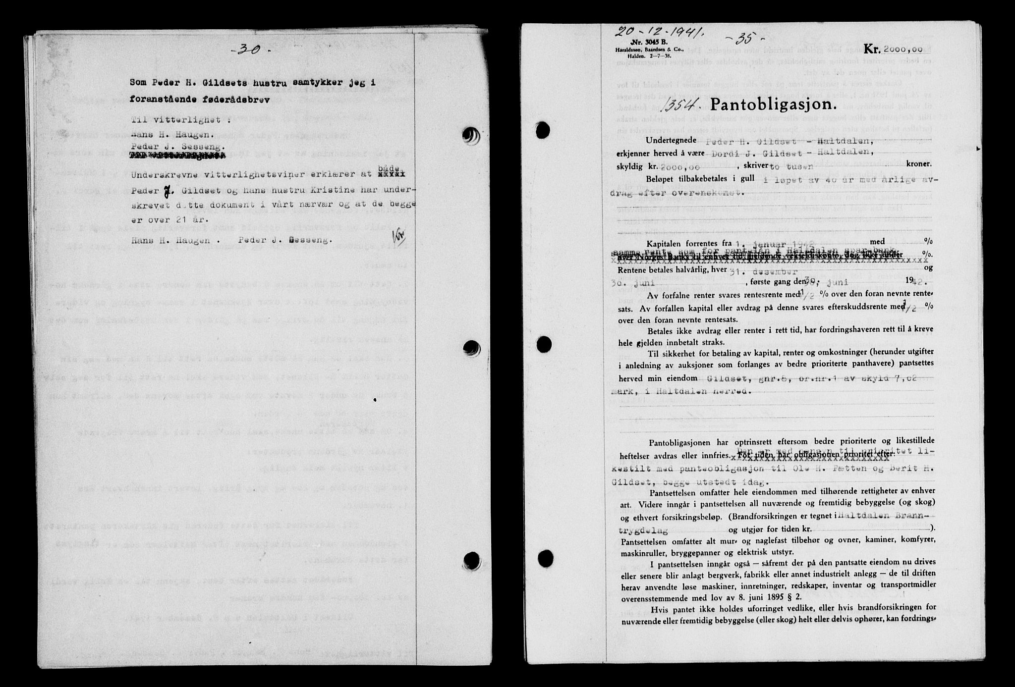 Gauldal sorenskriveri, SAT/A-0014/1/2/2C/L0054: Pantebok nr. 59, 1941-1942, Dagboknr: 1354/1941
