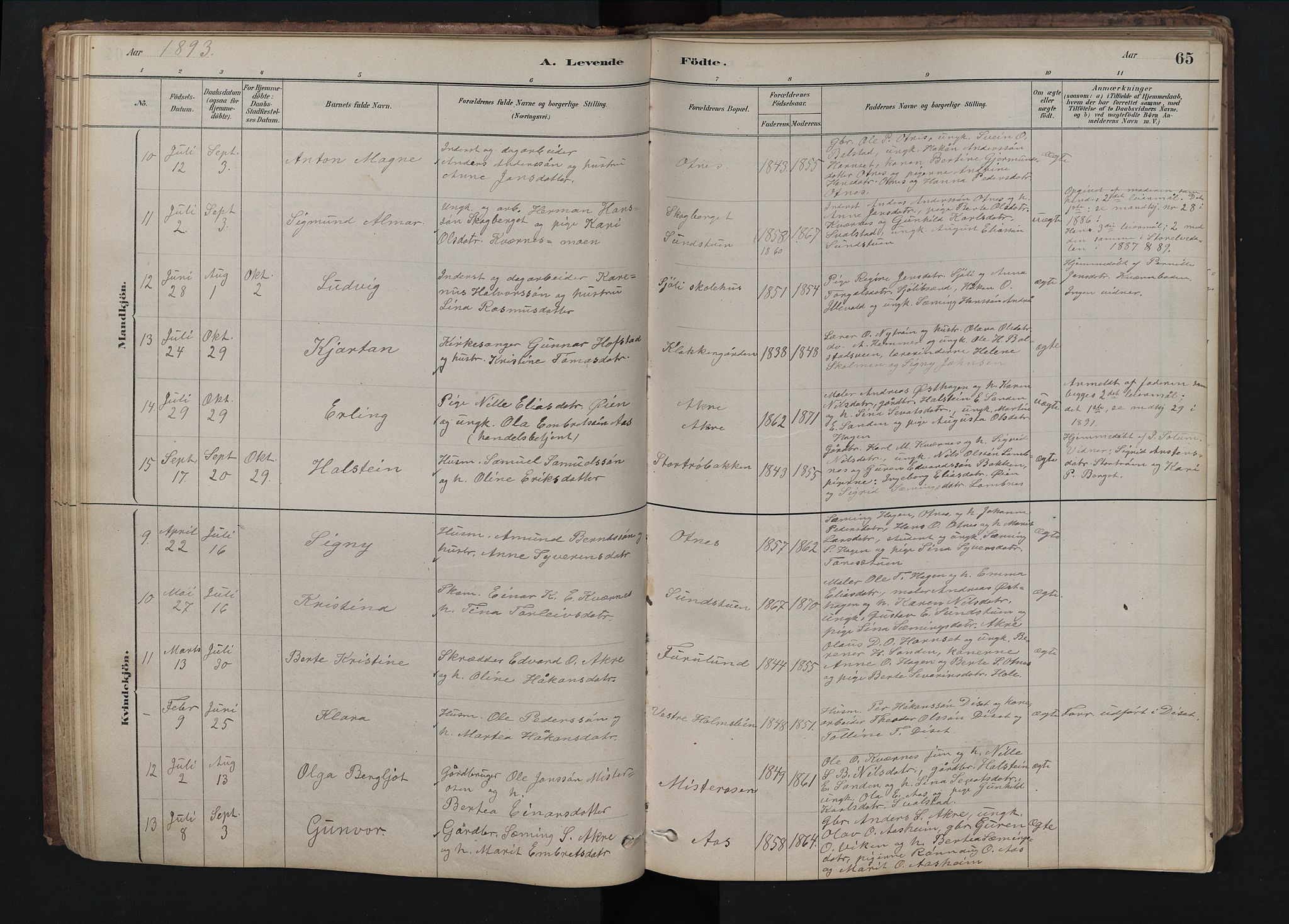 Rendalen prestekontor, AV/SAH-PREST-054/H/Ha/Hab/L0009: Klokkerbok nr. 9, 1879-1902, s. 65