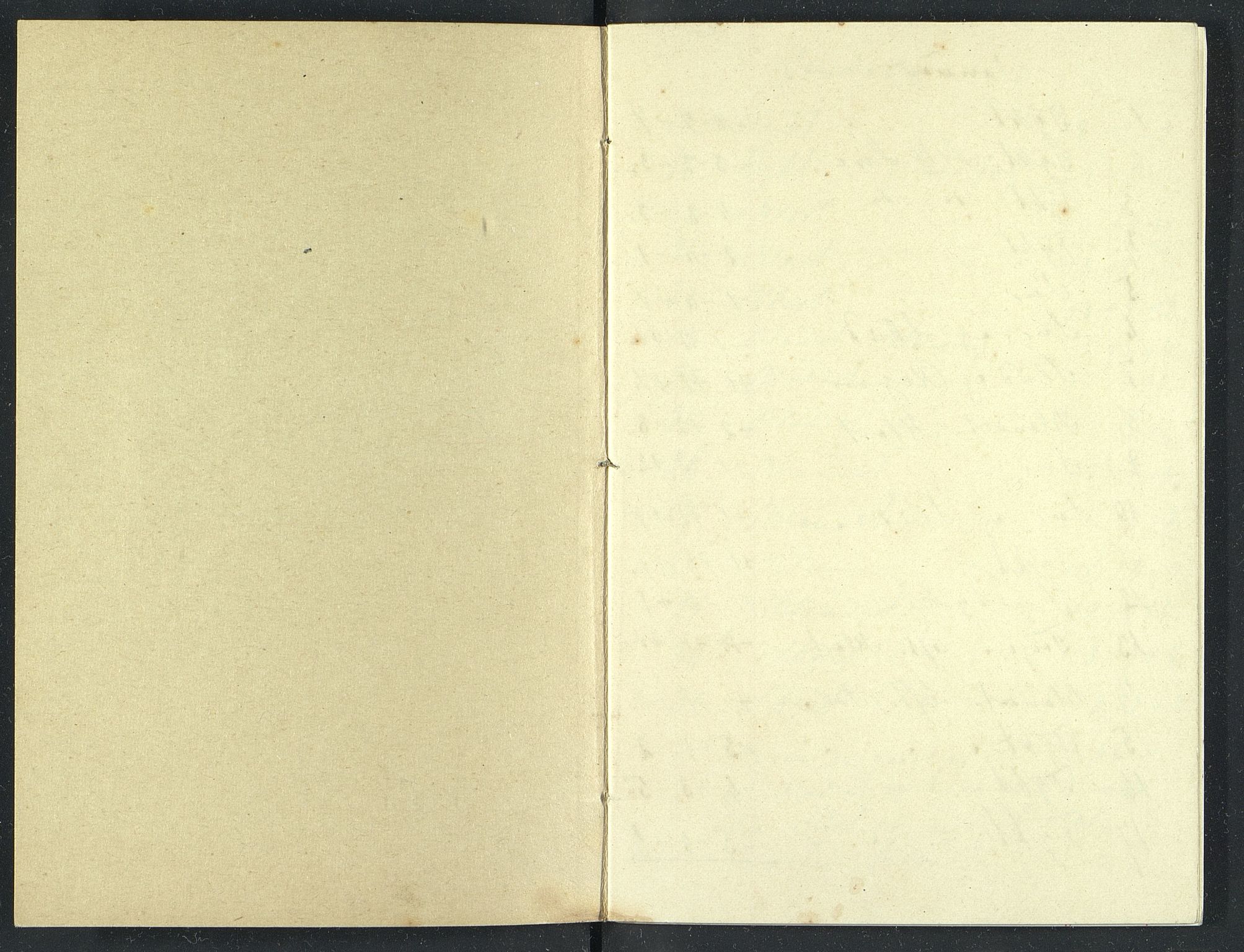 Familien Aalls privatarkiv , NESJ/NJM-005/E-00003/L0001/0003/0016: Dag- og notatbøker / Dølner dagbokpakke 001, 1887