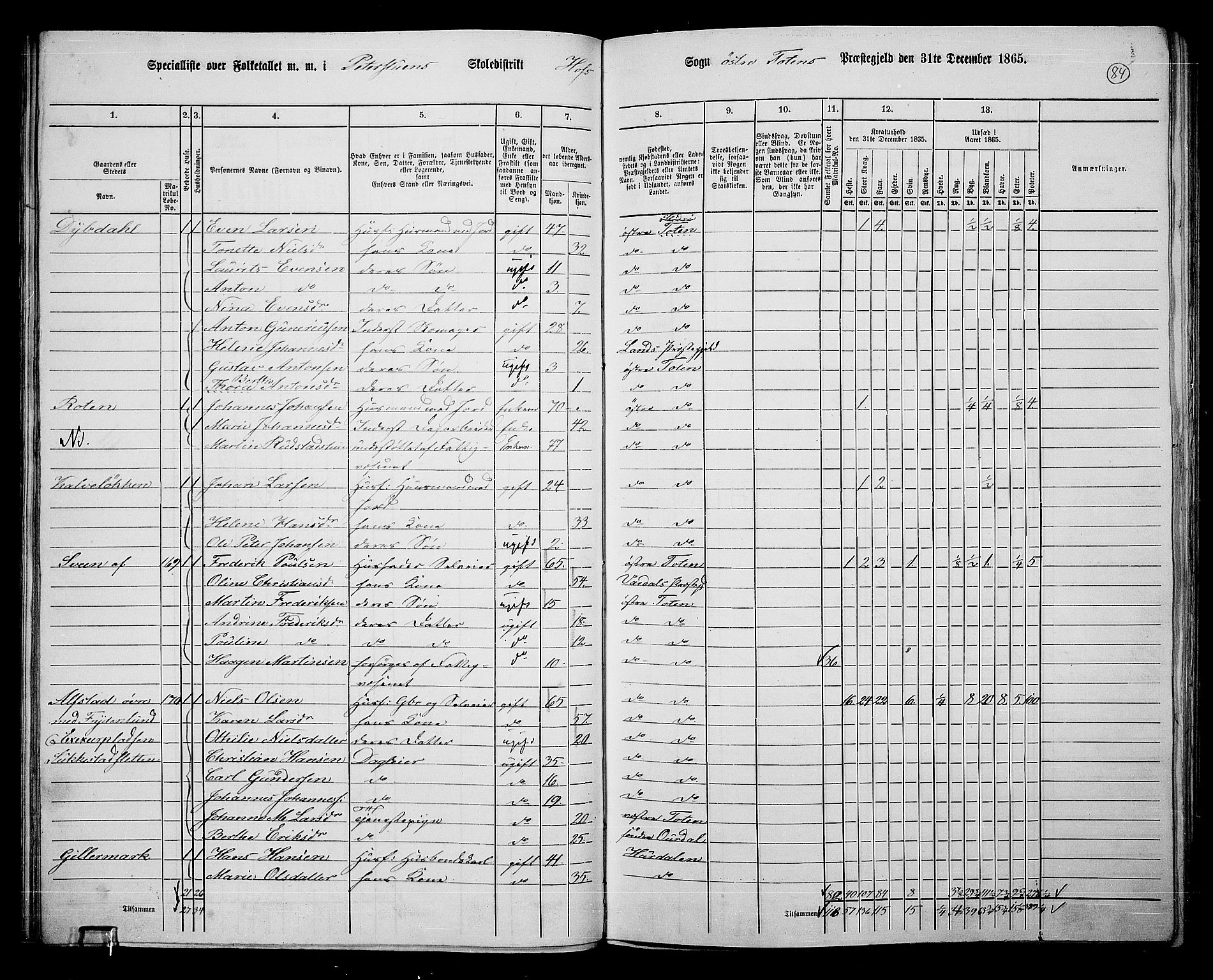 RA, Folketelling 1865 for 0528P Østre Toten prestegjeld, 1865, s. 205