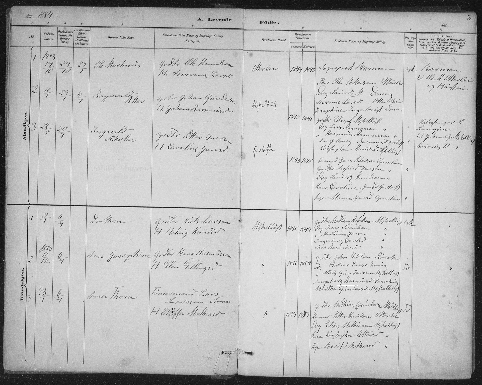 Ministerialprotokoller, klokkerbøker og fødselsregistre - Møre og Romsdal, AV/SAT-A-1454/538/L0522: Ministerialbok nr. 538A01, 1884-1913, s. 5