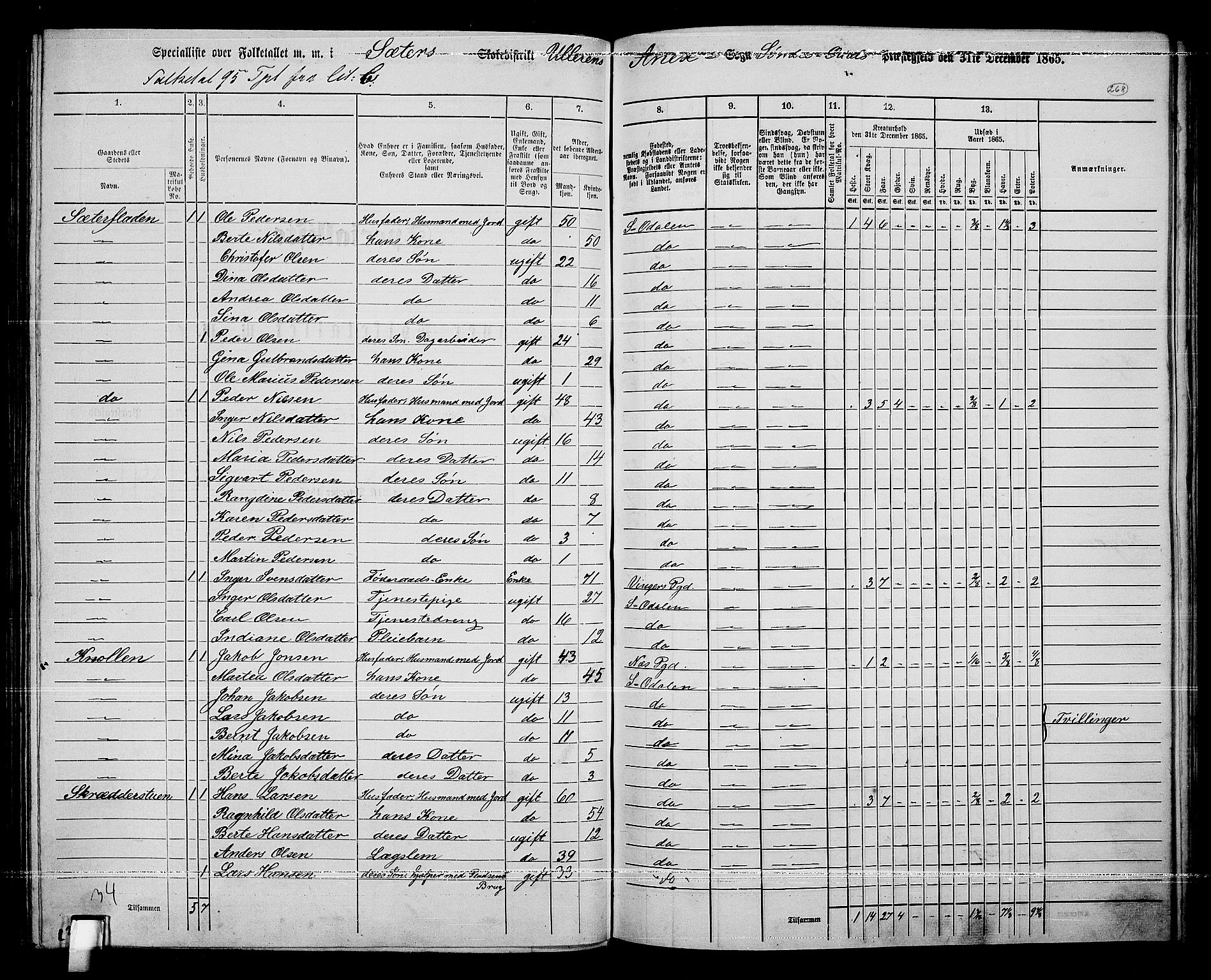 RA, Folketelling 1865 for 0419P Sør-Odal prestegjeld, 1865, s. 238