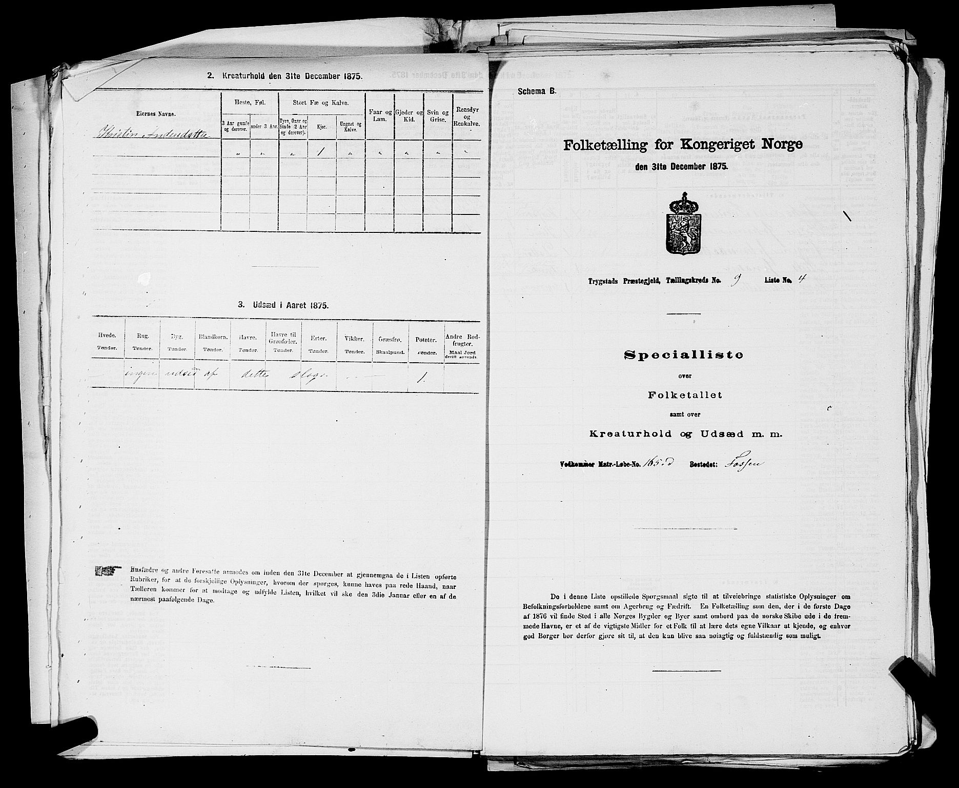 RA, Folketelling 1875 for 0122P Trøgstad prestegjeld, 1875, s. 971