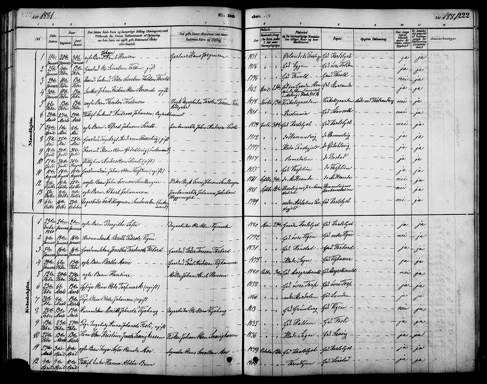 Ministerialprotokoller, klokkerbøker og fødselsregistre - Sør-Trøndelag, SAT/A-1456/616/L0423: Klokkerbok nr. 616C06, 1878-1903, s. 222