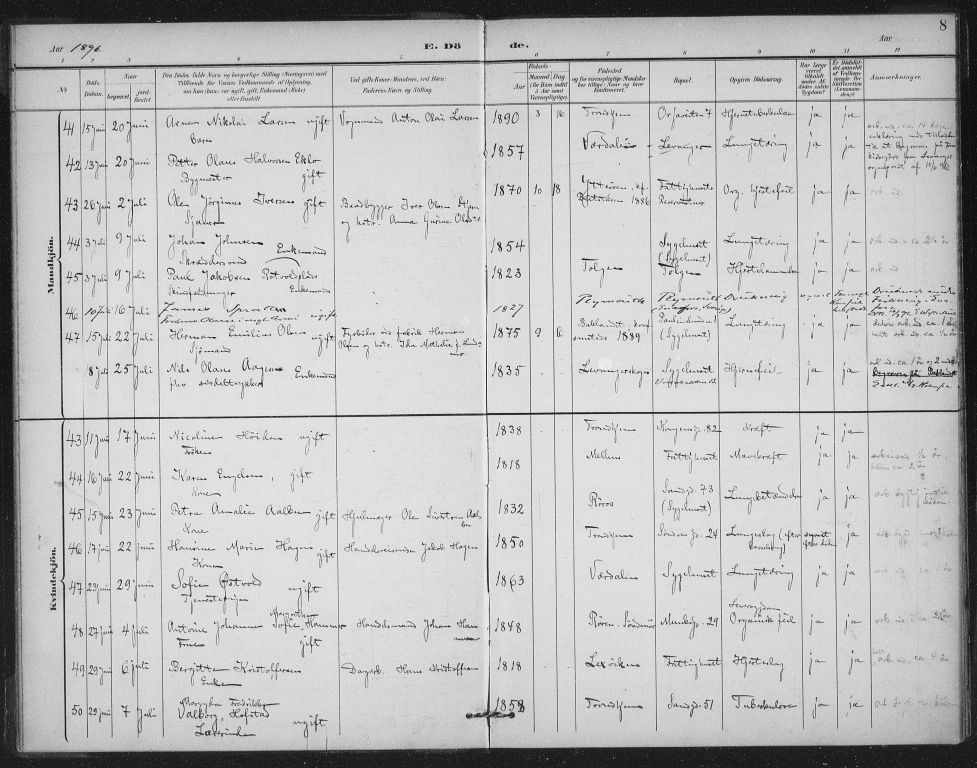 Ministerialprotokoller, klokkerbøker og fødselsregistre - Sør-Trøndelag, SAT/A-1456/602/L0123: Ministerialbok nr. 602A21, 1895-1910, s. 8