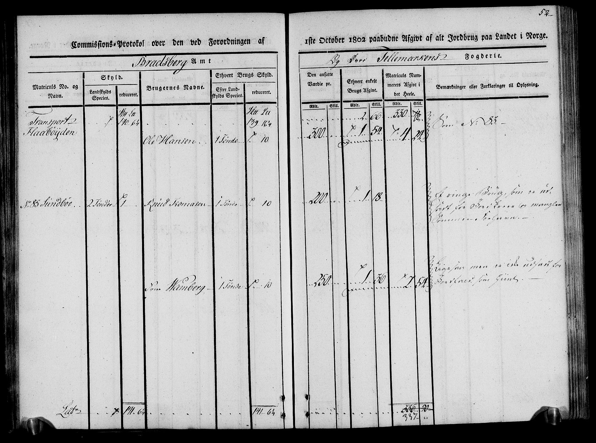 Rentekammeret inntil 1814, Realistisk ordnet avdeling, AV/RA-EA-4070/N/Ne/Nea/L0075: Øvre Telemarken fogderi. Kommisjonsprotokoll for fogderiets vestre del - Kviteseid, Vinje, Moland [):Fyresdal] og Lårdal prestegjeld., 1803, s. 52