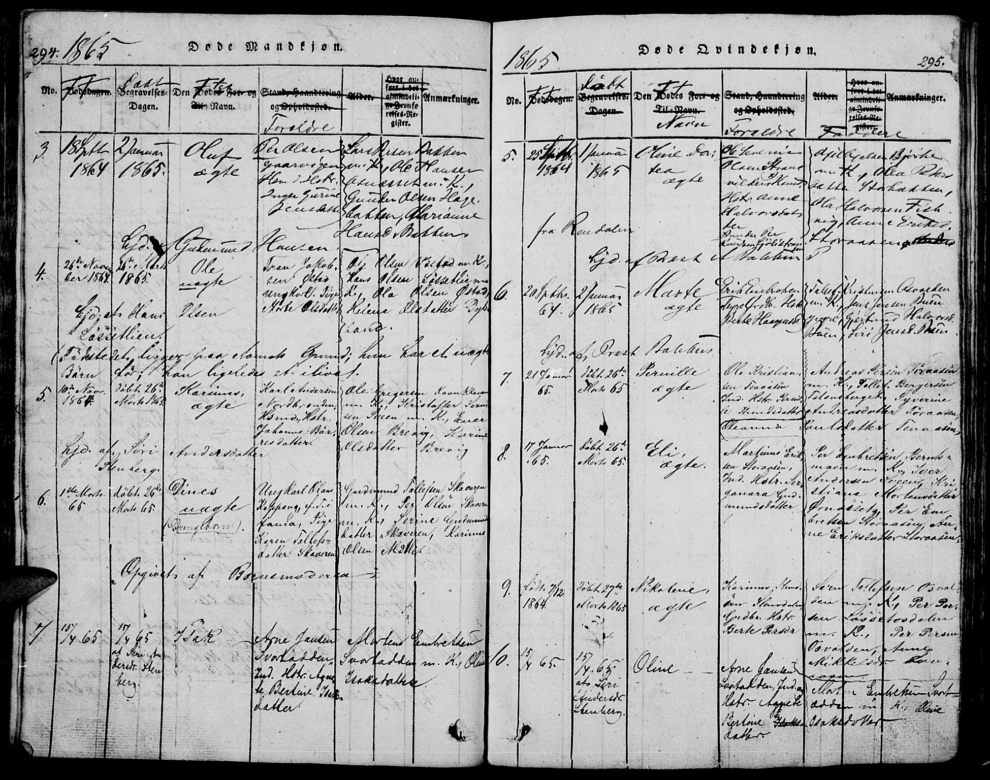 Trysil prestekontor, AV/SAH-PREST-046/H/Ha/Hab/L0005: Klokkerbok nr. 5, 1814-1877, s. 294-295