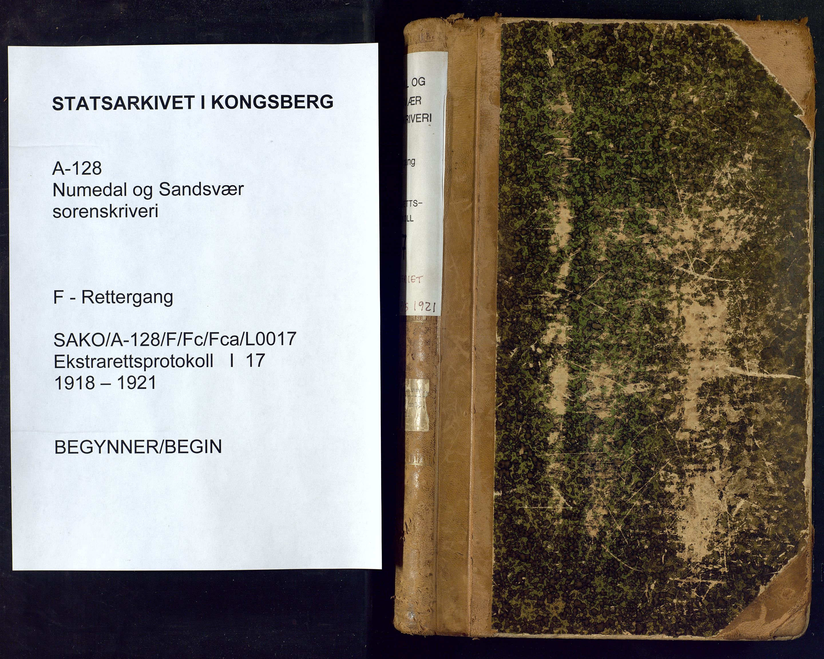 Numedal og Sandsvær sorenskriveri, AV/SAKO-A-128/F/Fc/Fca/L0017: Ekstrarettsprotokoll, 1918-1921