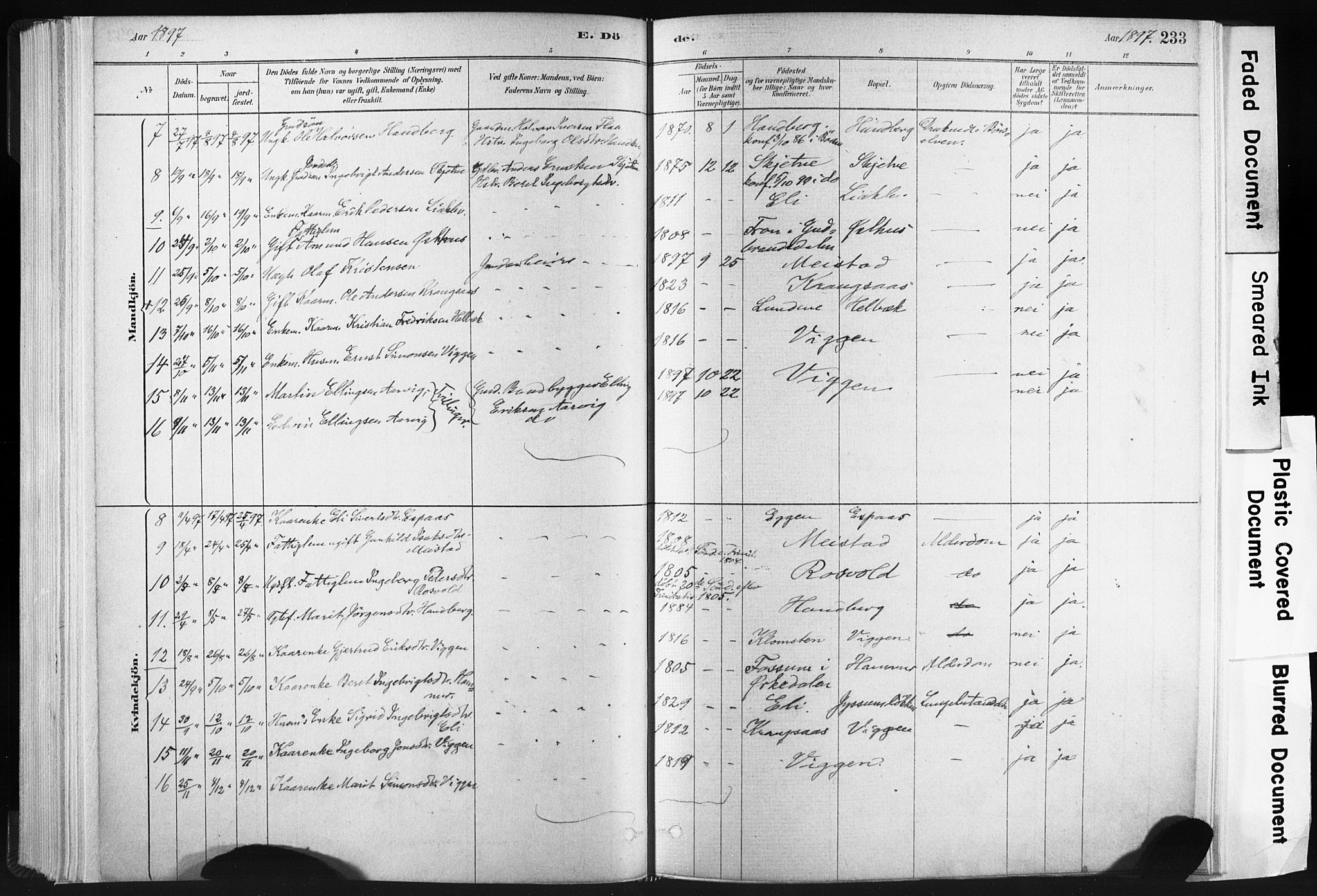 Ministerialprotokoller, klokkerbøker og fødselsregistre - Sør-Trøndelag, SAT/A-1456/665/L0773: Ministerialbok nr. 665A08, 1879-1905, s. 233