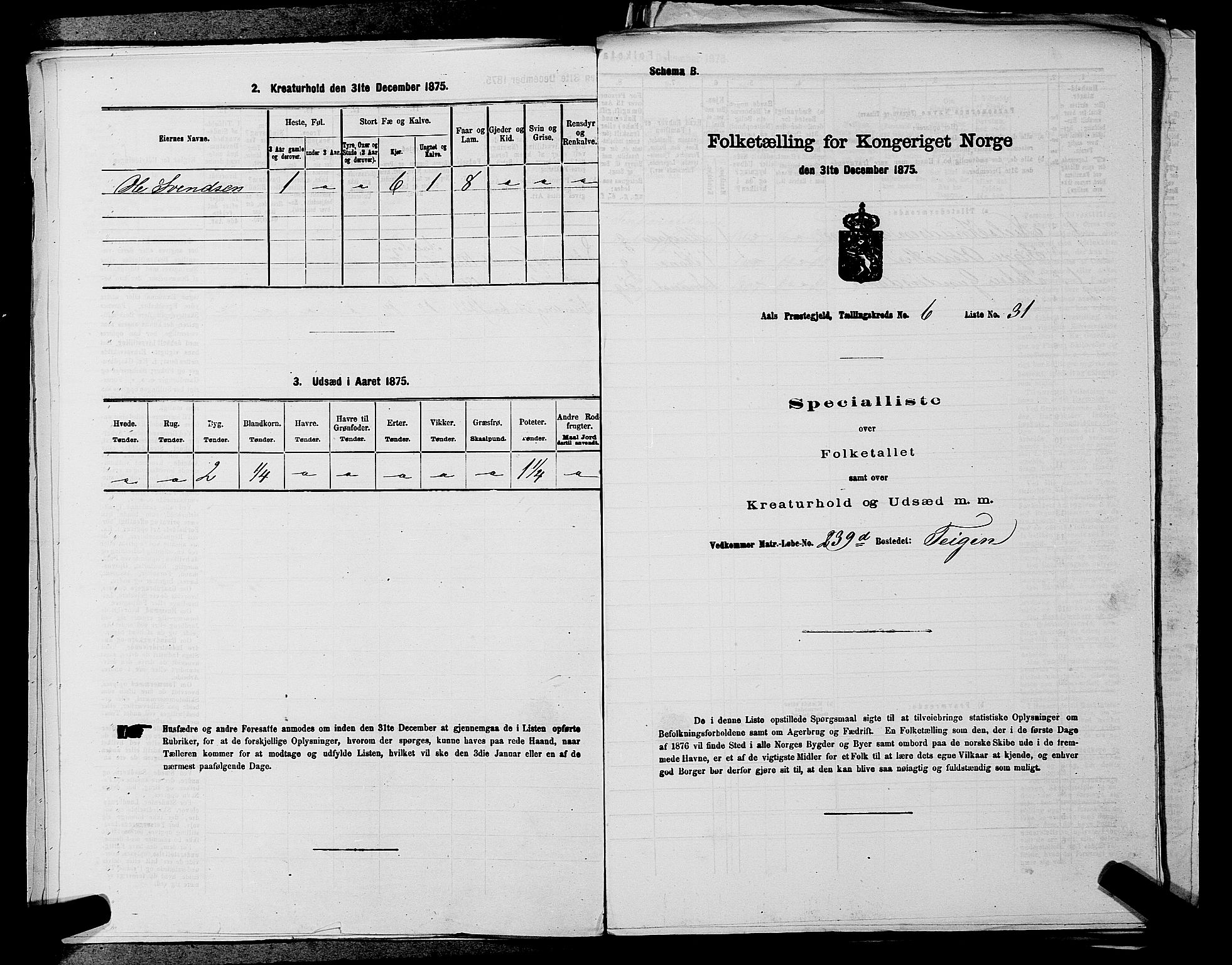 SAKO, Folketelling 1875 for 0619P Ål prestegjeld, 1875, s. 802