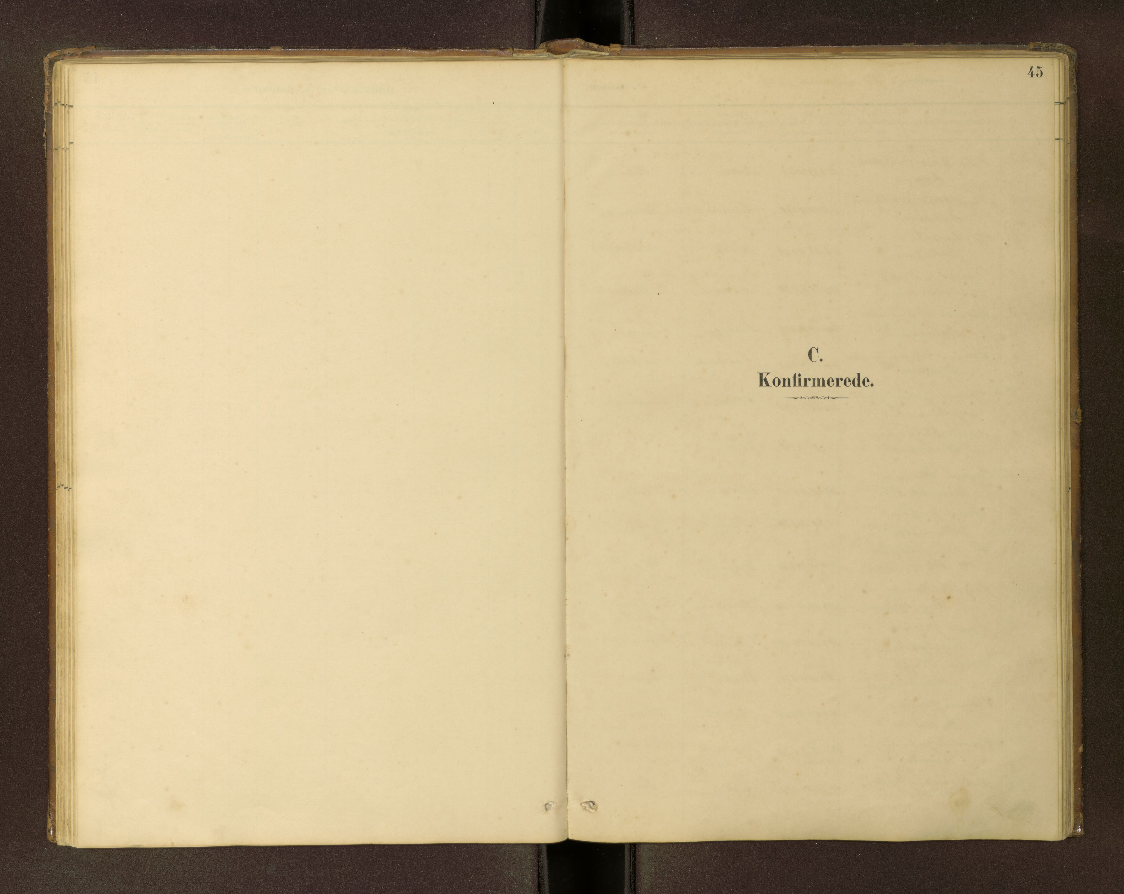 Ministerialprotokoller, klokkerbøker og fødselsregistre - Møre og Romsdal, AV/SAT-A-1454/504/L0060: Klokkerbok nr. 504C02, 1884-1903, s. 45