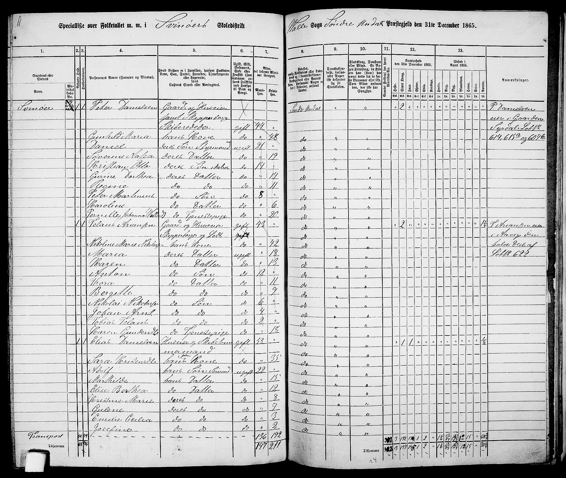 RA, Folketelling 1865 for 1029P Sør-Audnedal prestegjeld, 1865, s. 136