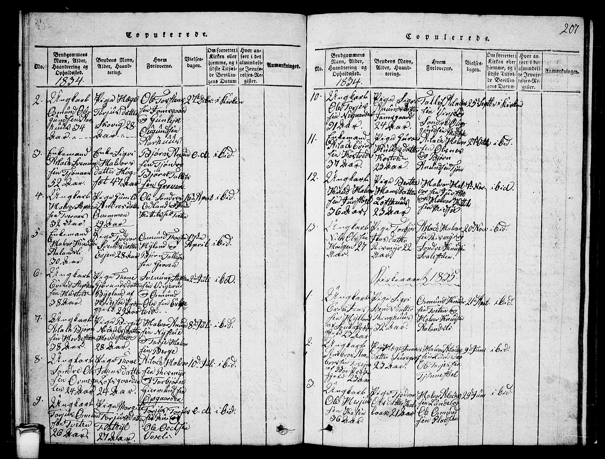 Vinje kirkebøker, AV/SAKO-A-312/G/Ga/L0001: Klokkerbok nr. I 1, 1814-1843, s. 207