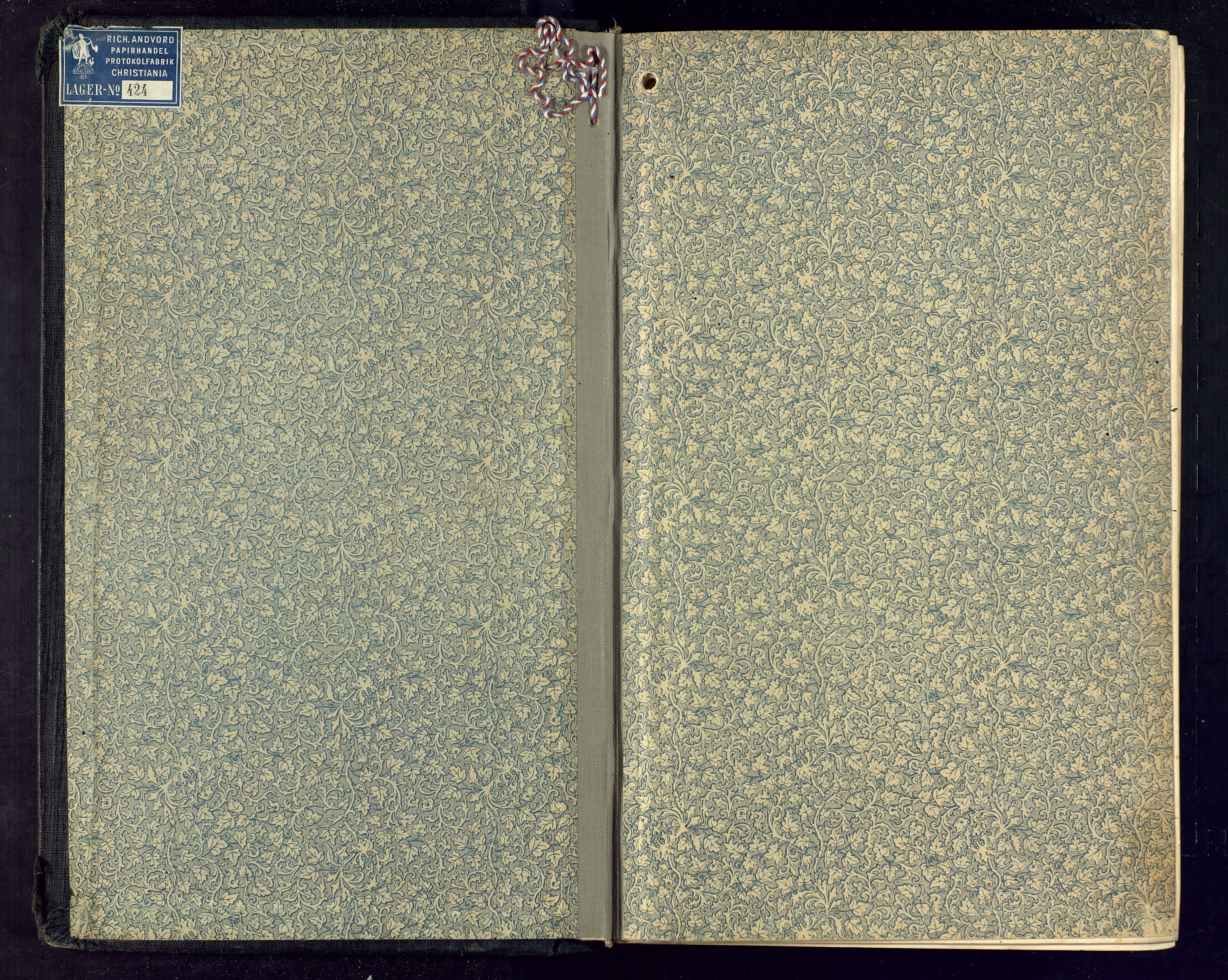 Hallingdal sorenskriveri, SAKO/A-121/F/Fc/L0028: Ekstrarettsprotokoll, 1917-1920