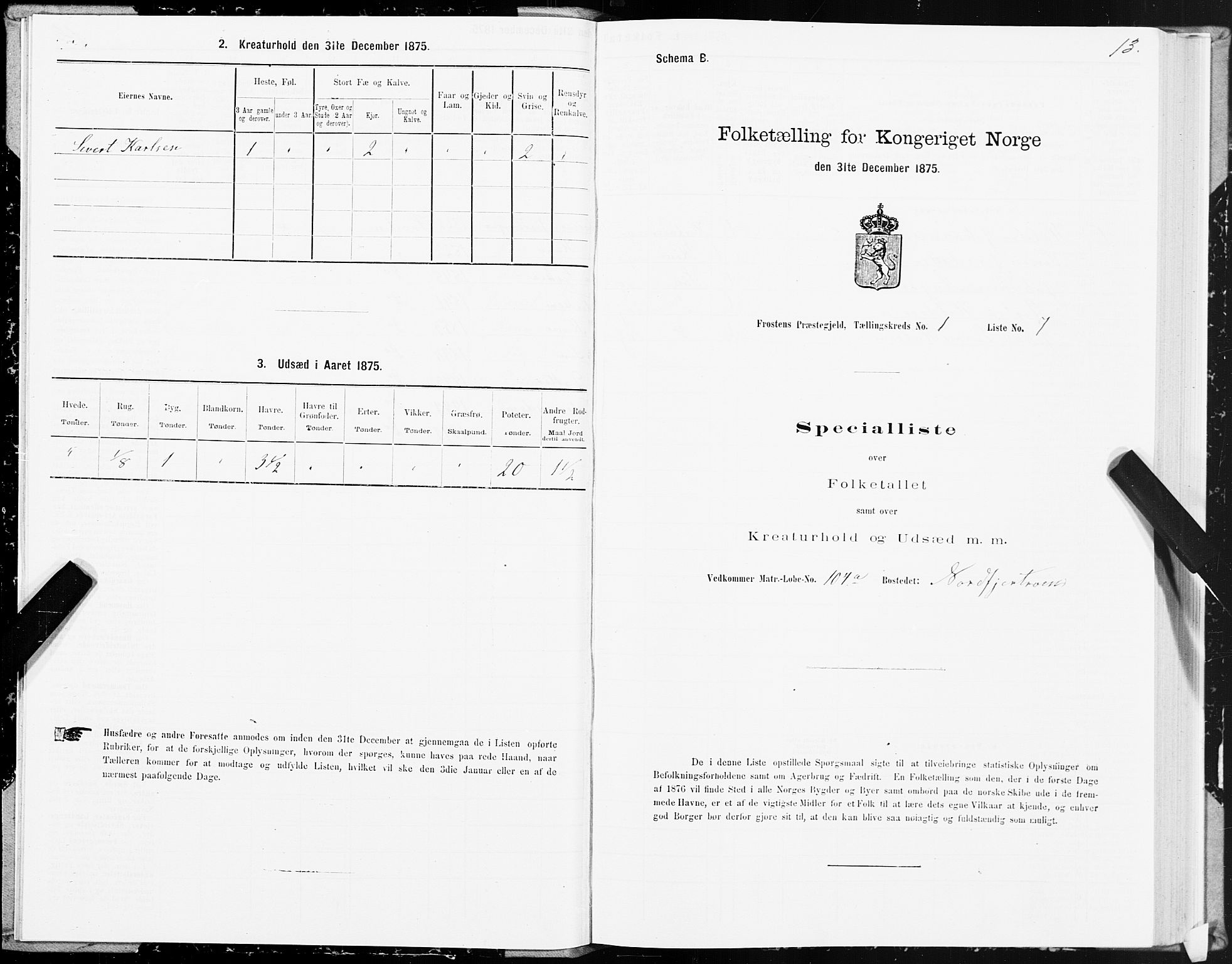 SAT, Folketelling 1875 for 1717P Frosta prestegjeld, 1875, s. 1013