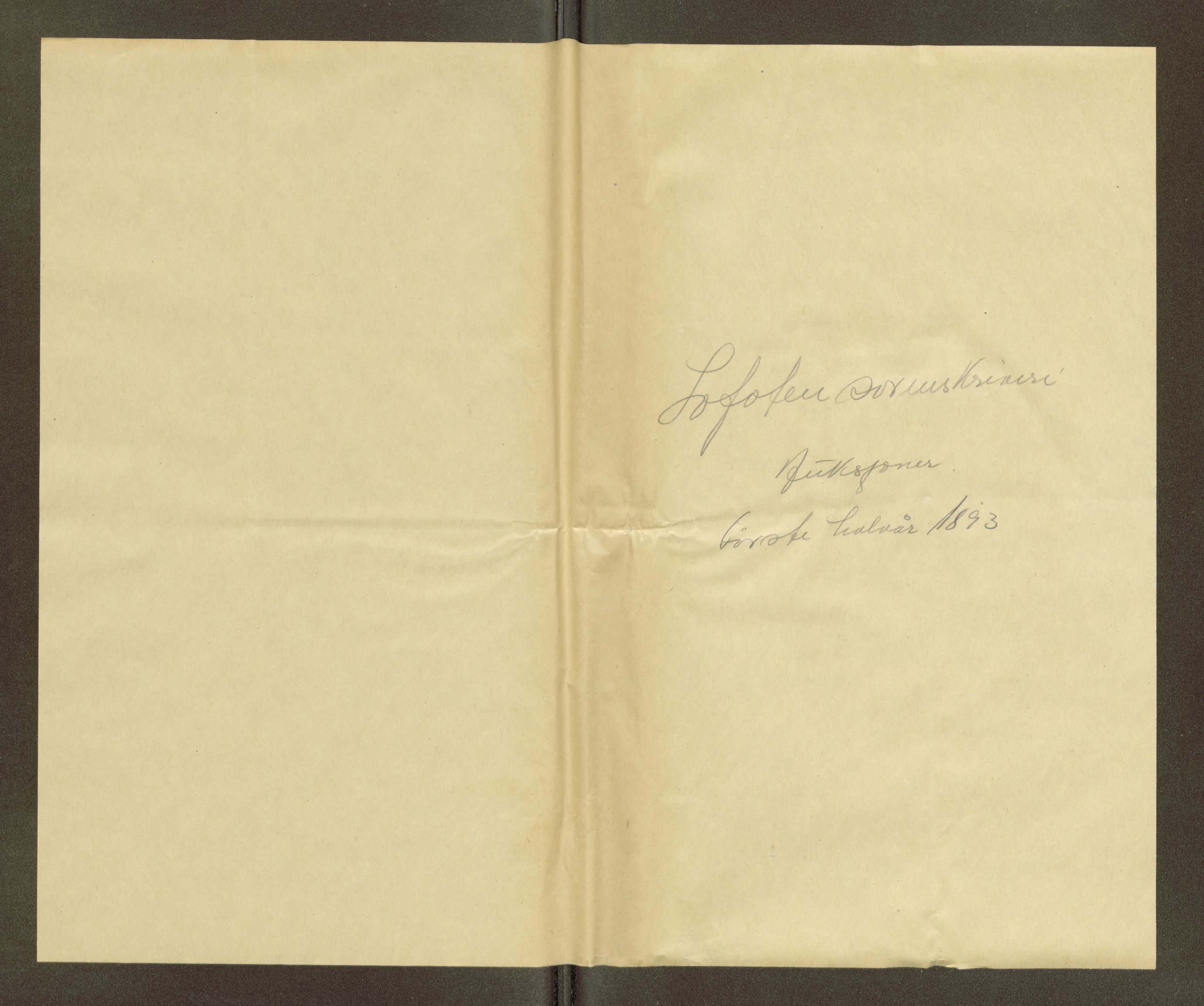 Lofoten sorenskriveri, SAT/A-0017/1/5/5B/L0012: Auksjonsdokumenter, 1893, s. 3