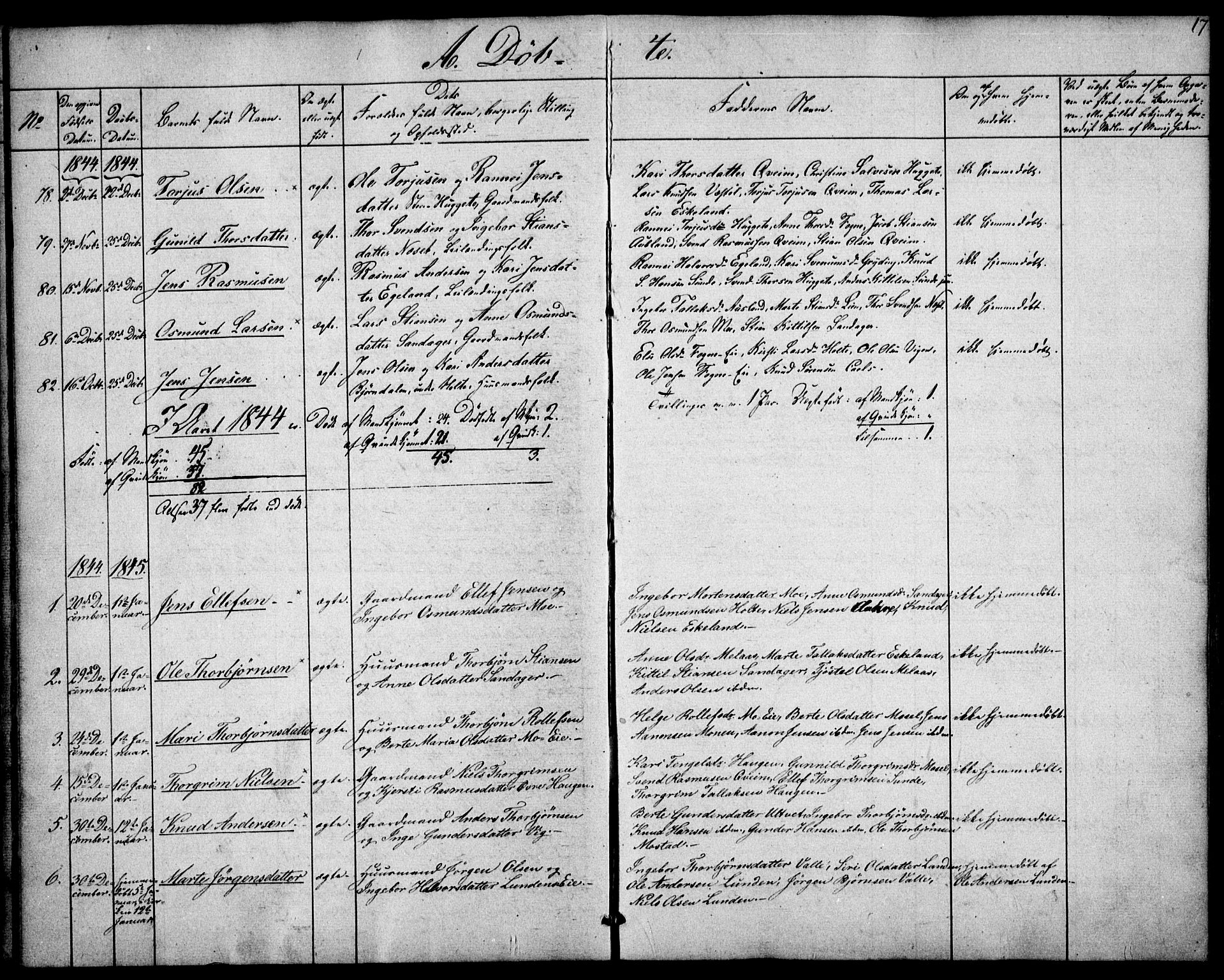 Gjerstad sokneprestkontor, AV/SAK-1111-0014/F/Fa/Faa/L0006: Ministerialbok nr. A 6, 1841-1857, s. 17