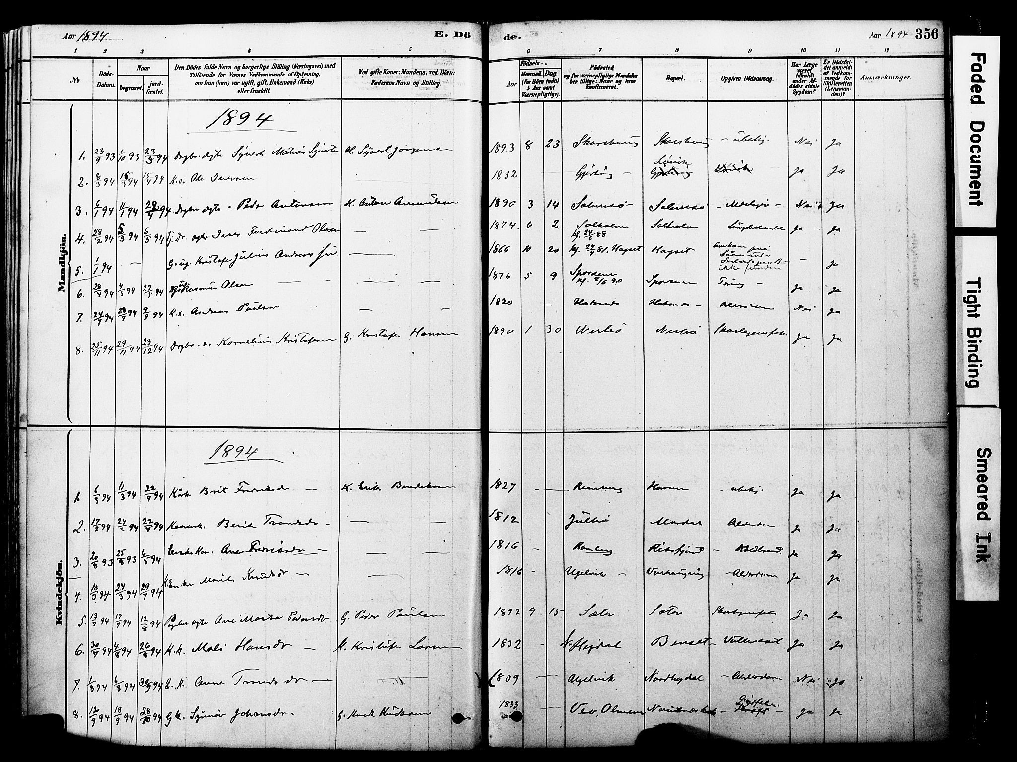 Ministerialprotokoller, klokkerbøker og fødselsregistre - Møre og Romsdal, AV/SAT-A-1454/560/L0721: Ministerialbok nr. 560A05, 1878-1917, s. 356